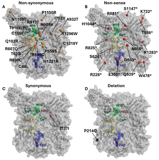 Antioxidants 13 01439 g003