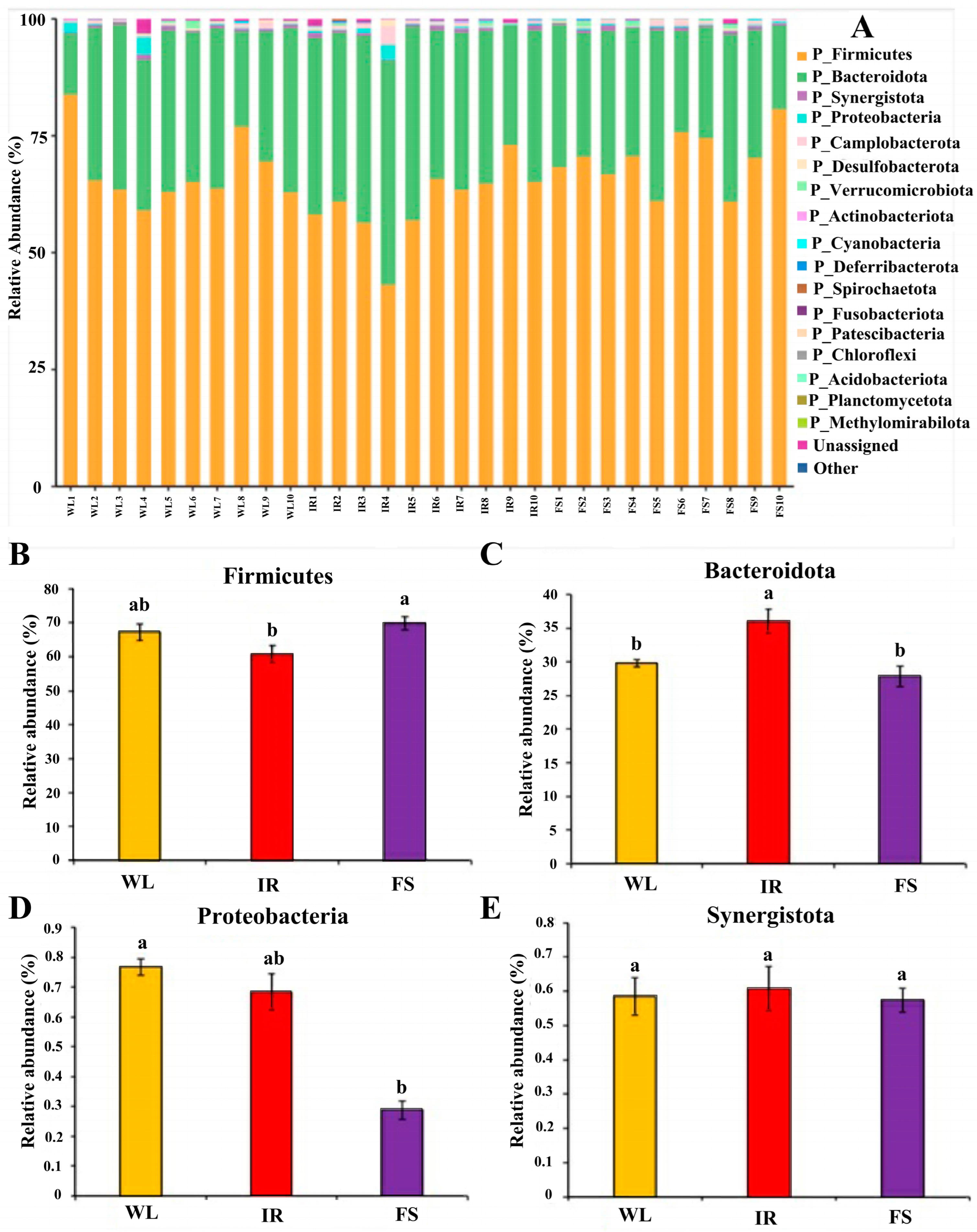 Antioxidants 13 01442 g006