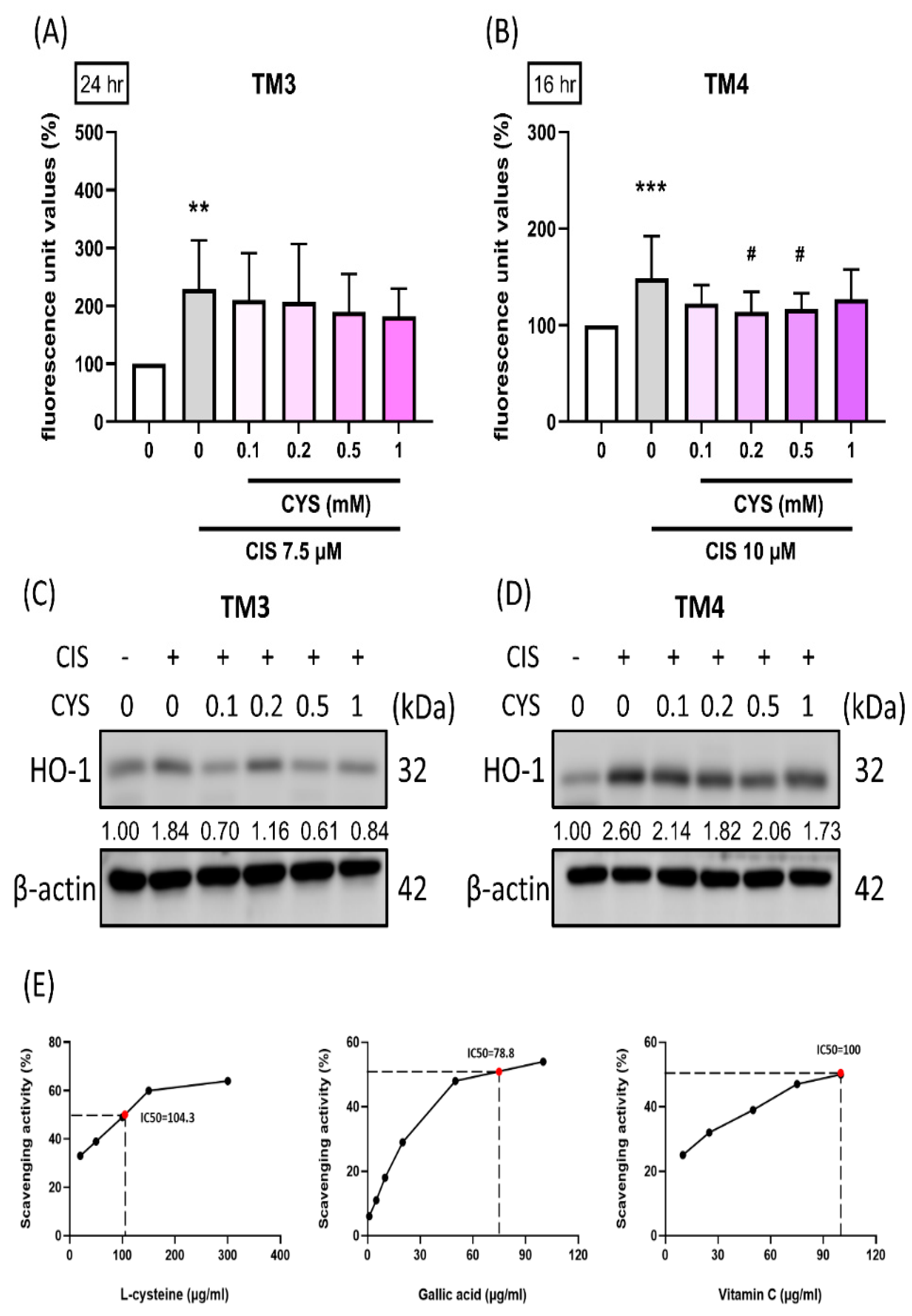 Antioxidants 13 01443 g003