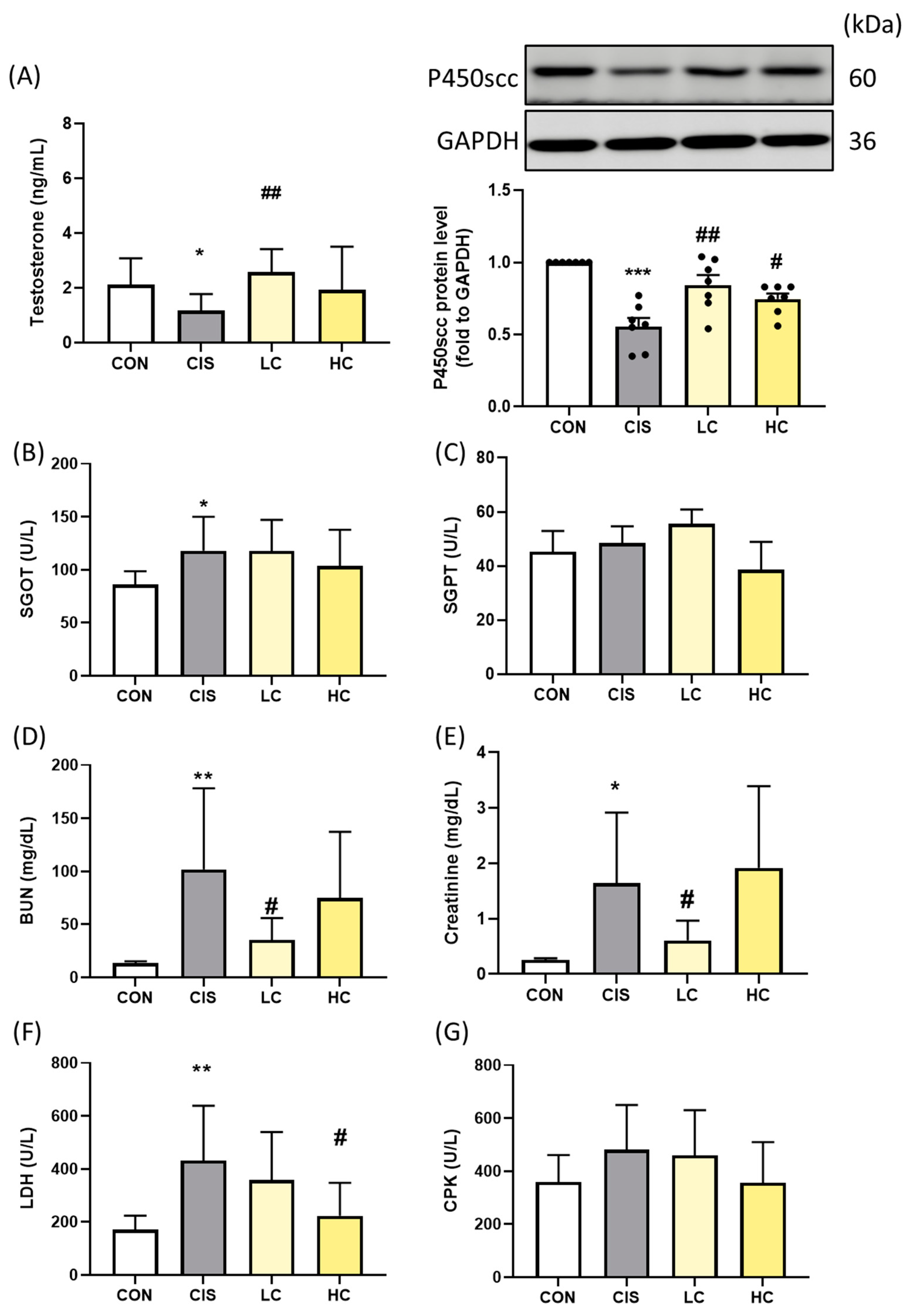 Antioxidants 13 01443 g008