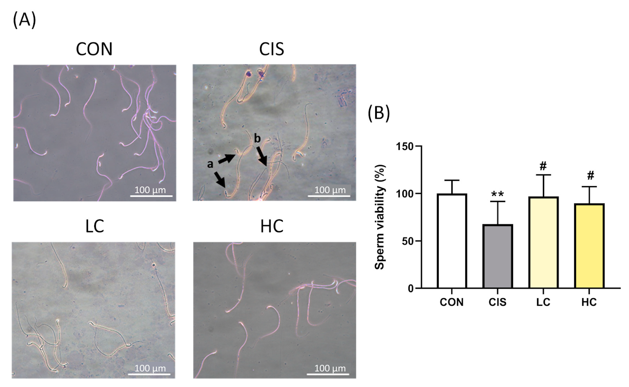 Antioxidants 13 01443 g010