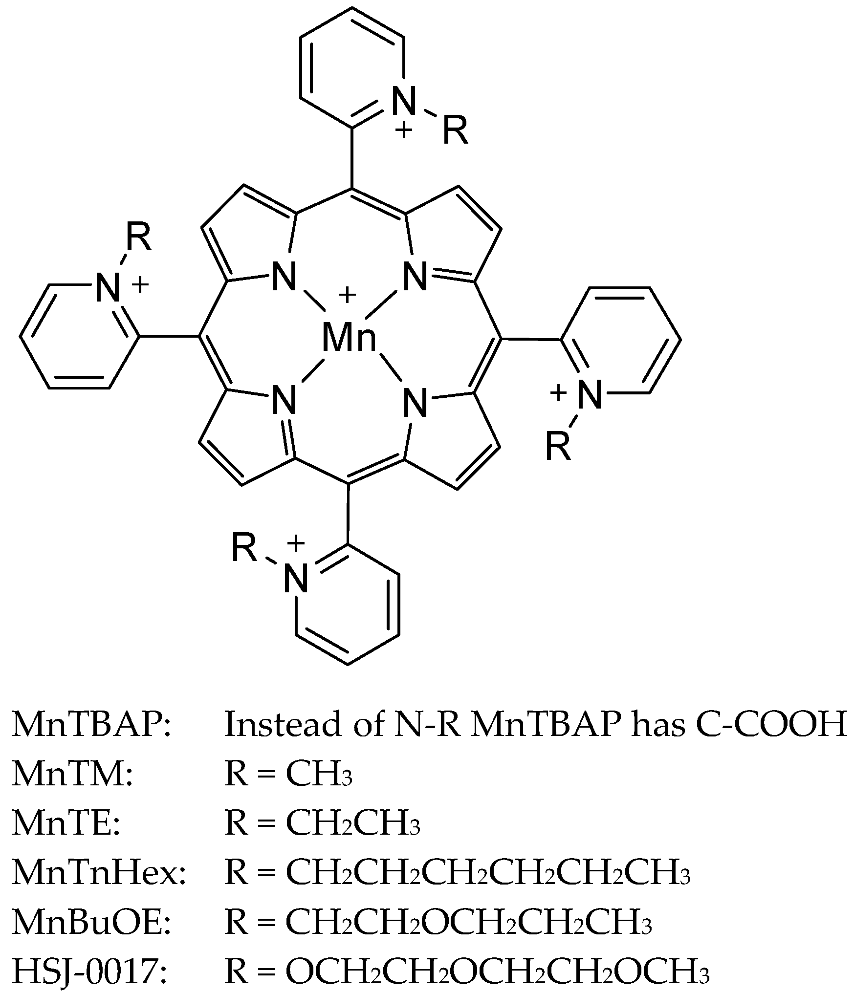 Antioxidants 13 01444 g001 Antioxidants 13 01444 g001