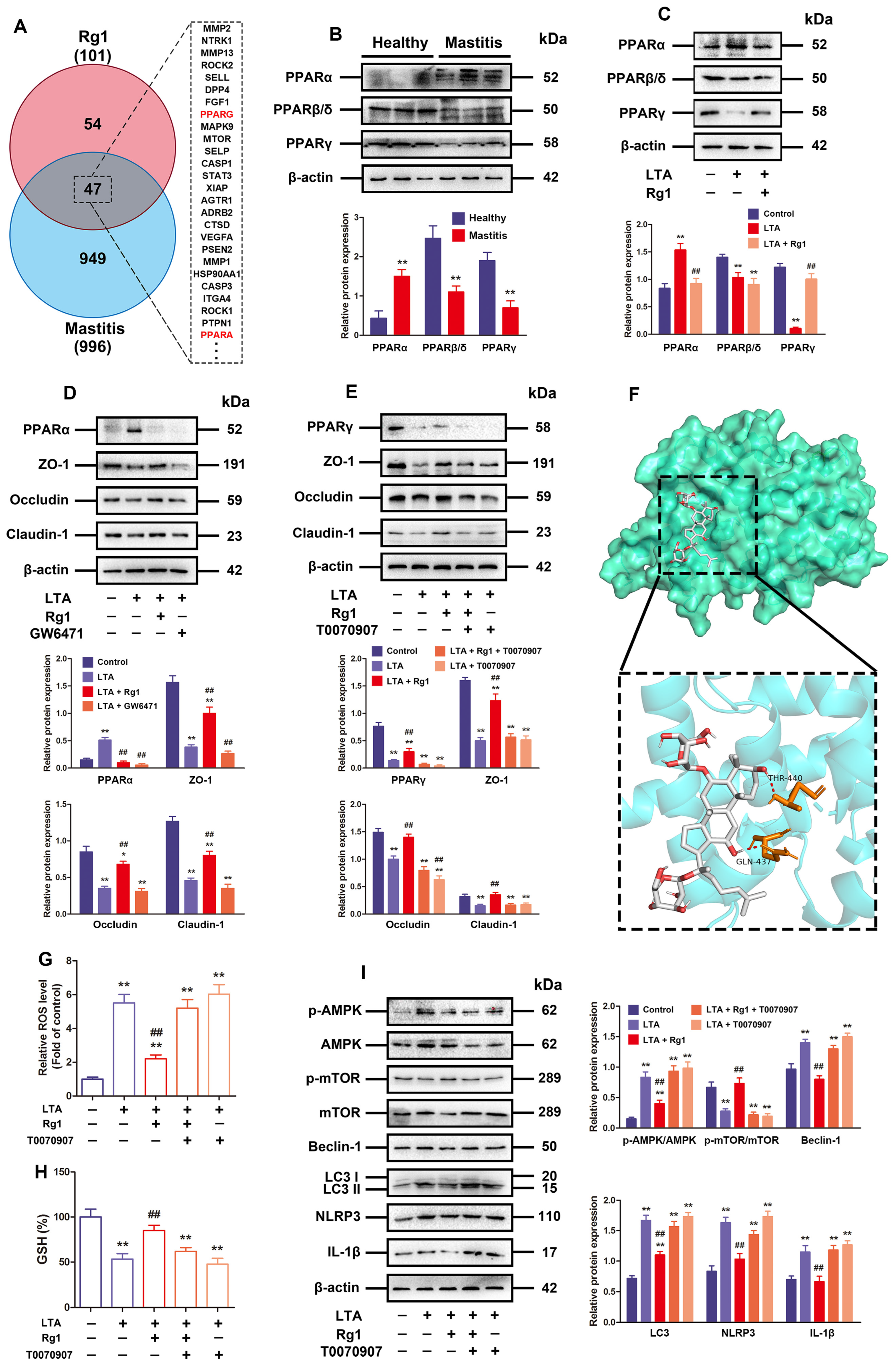 Antioxidants 13 01446 g005