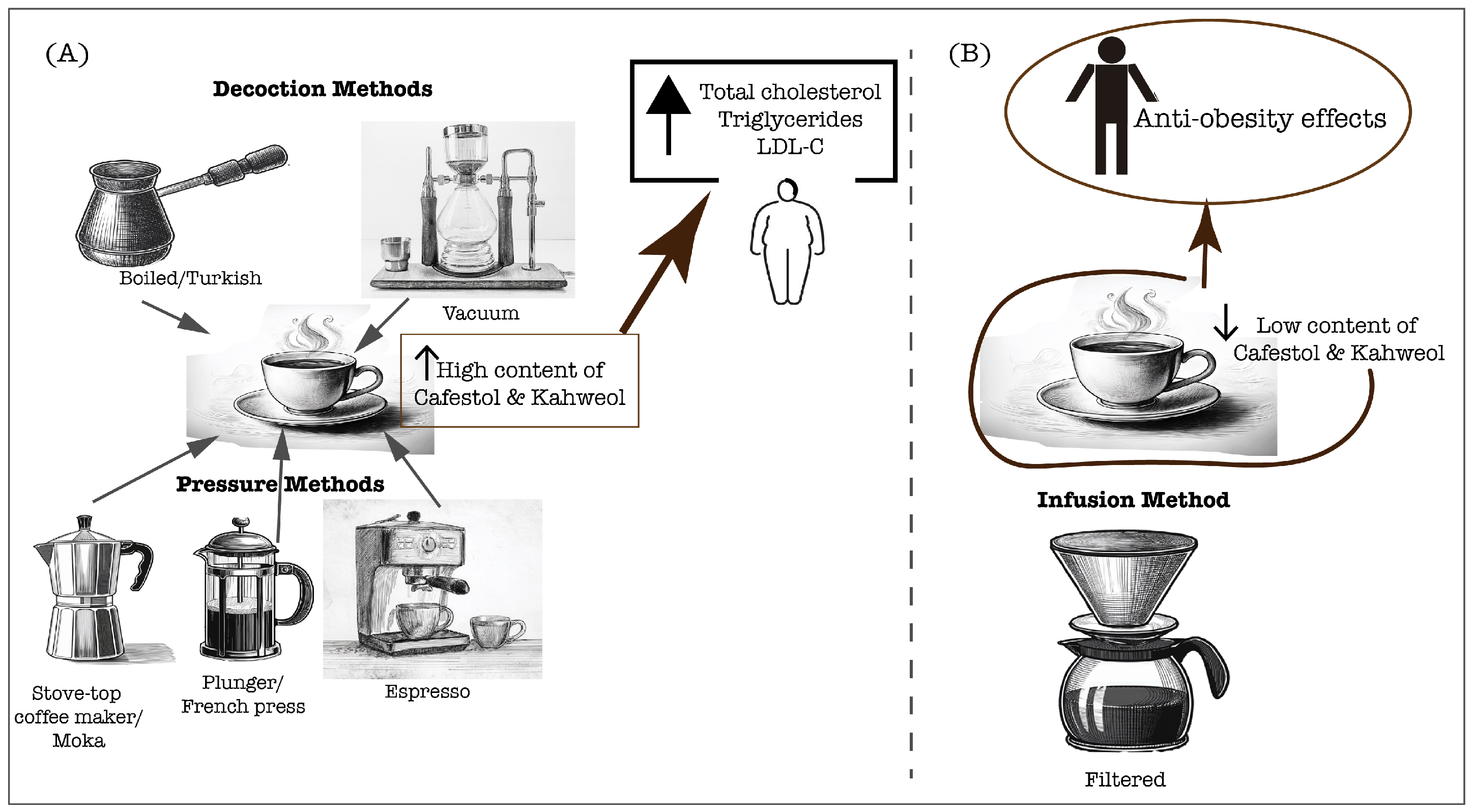 Antioxidants 13 01455 g001
