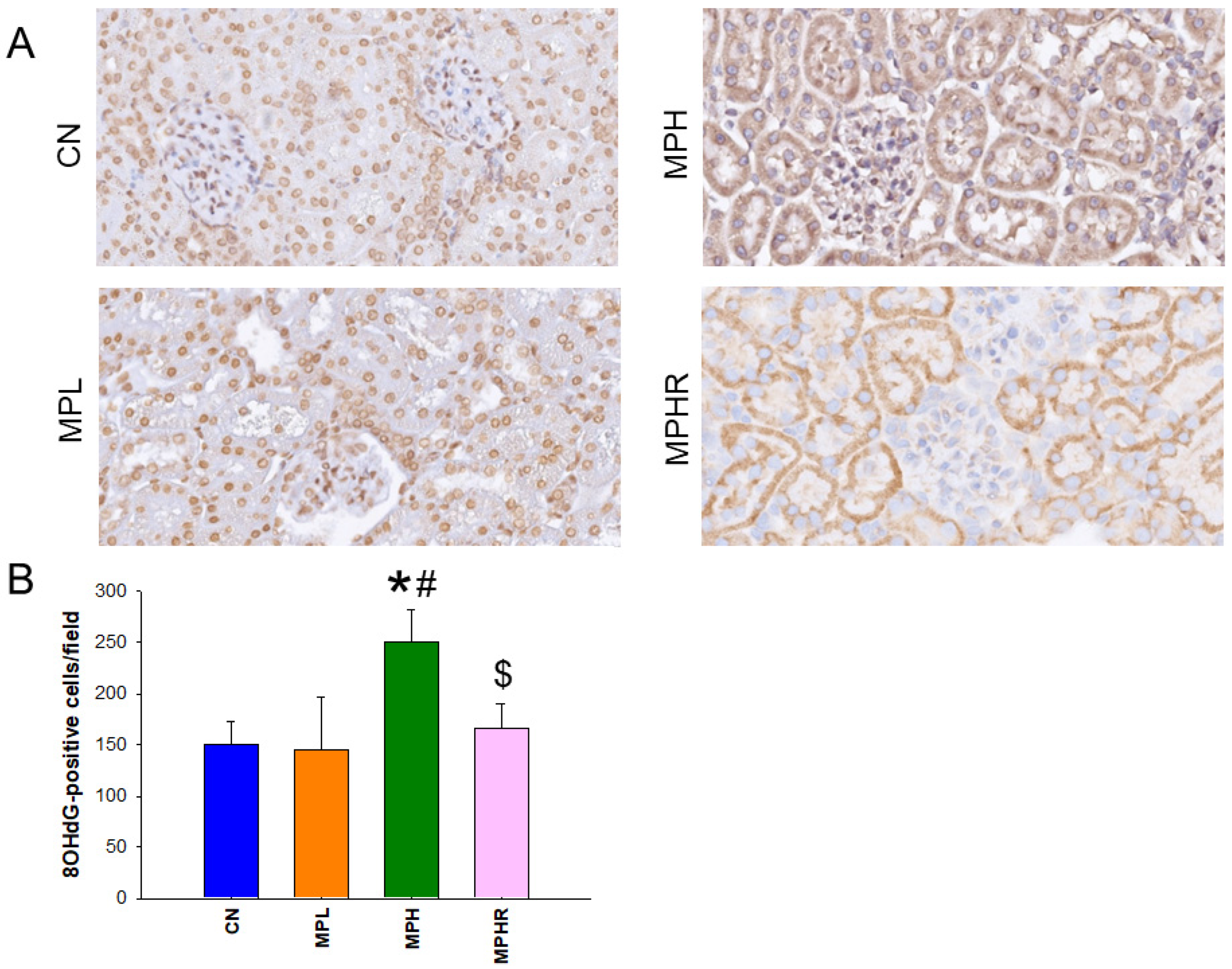 Antioxidants 13 01457 g006