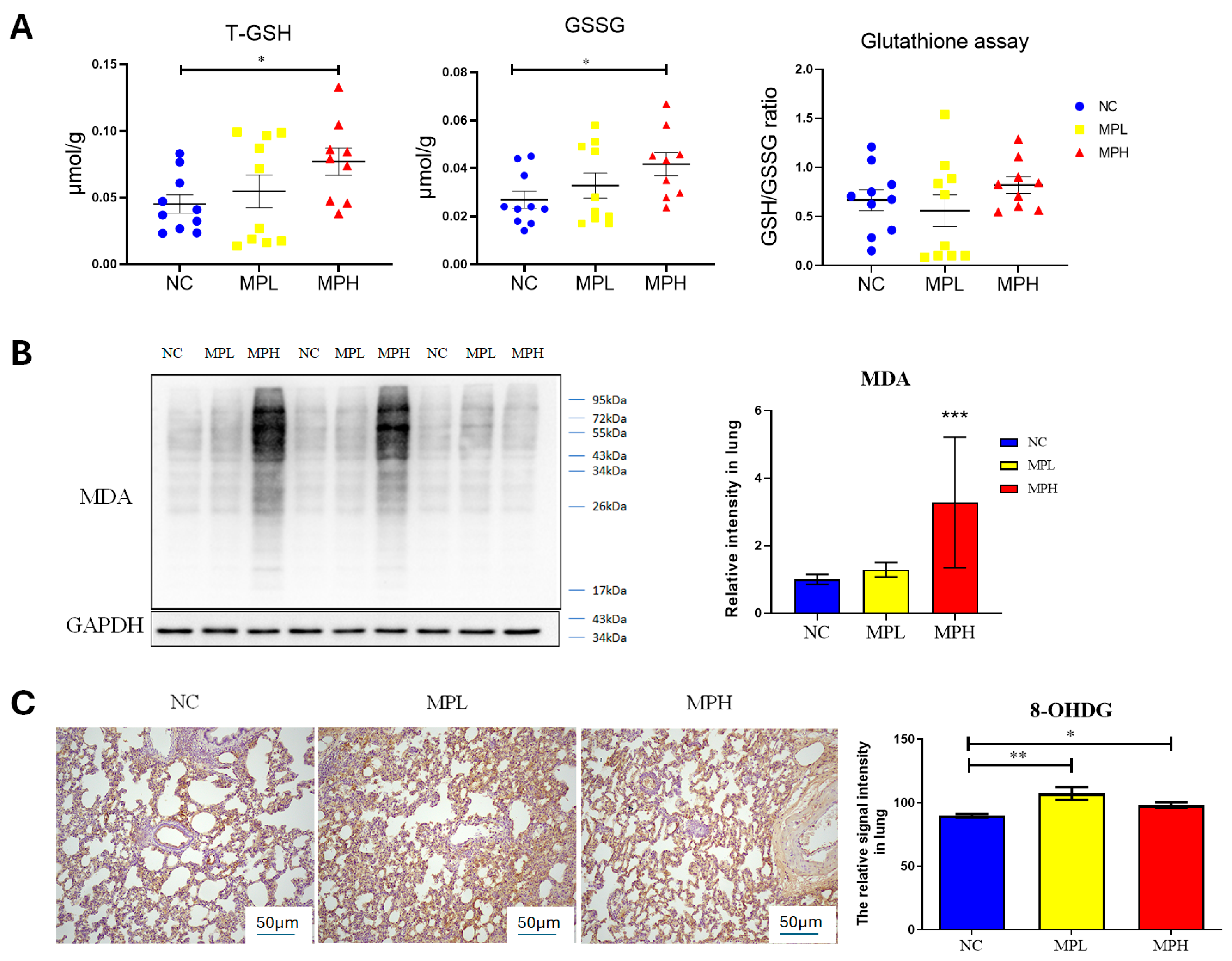Antioxidants 13 01459 g005