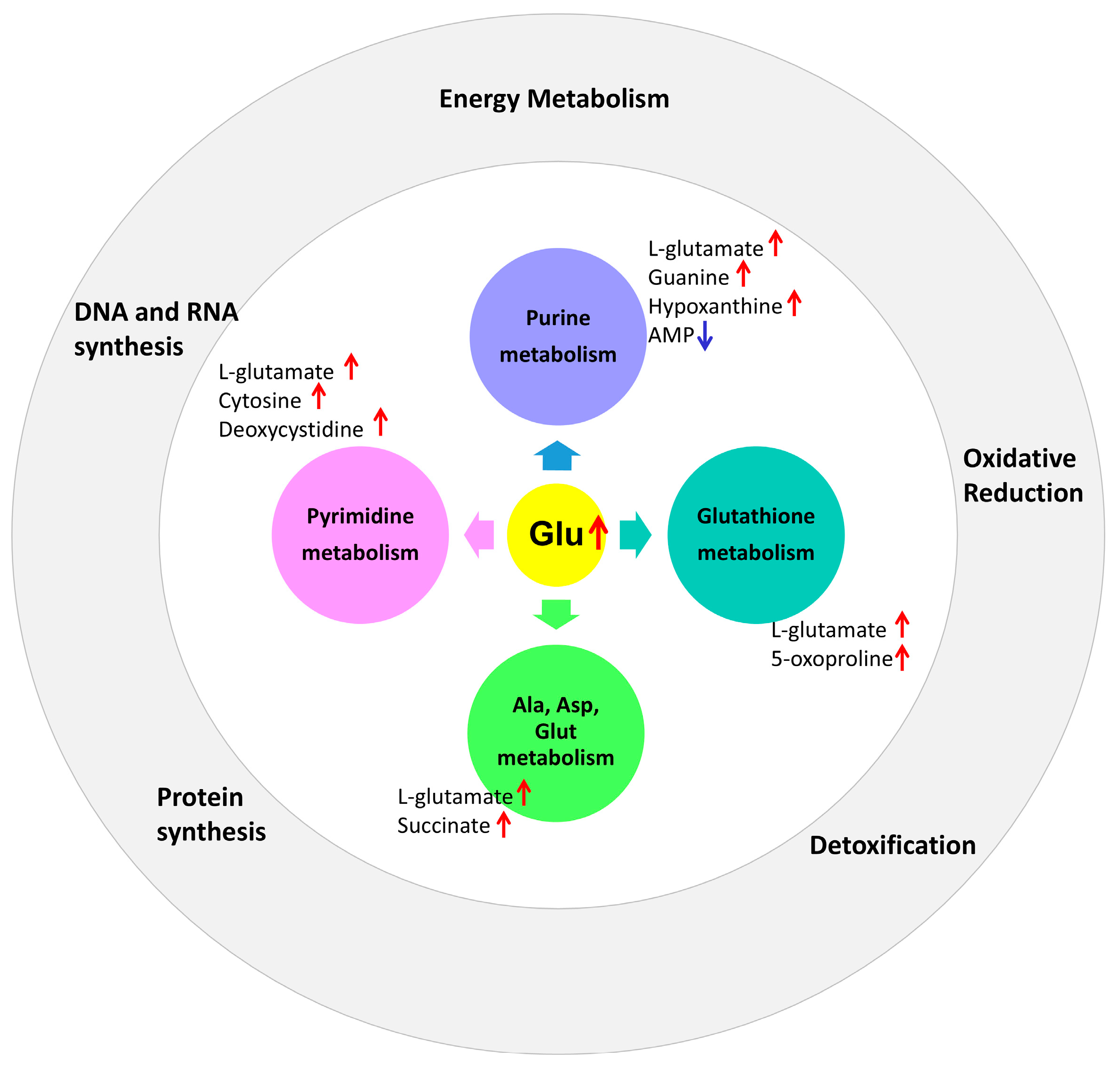 Antioxidants 13 01459 g007