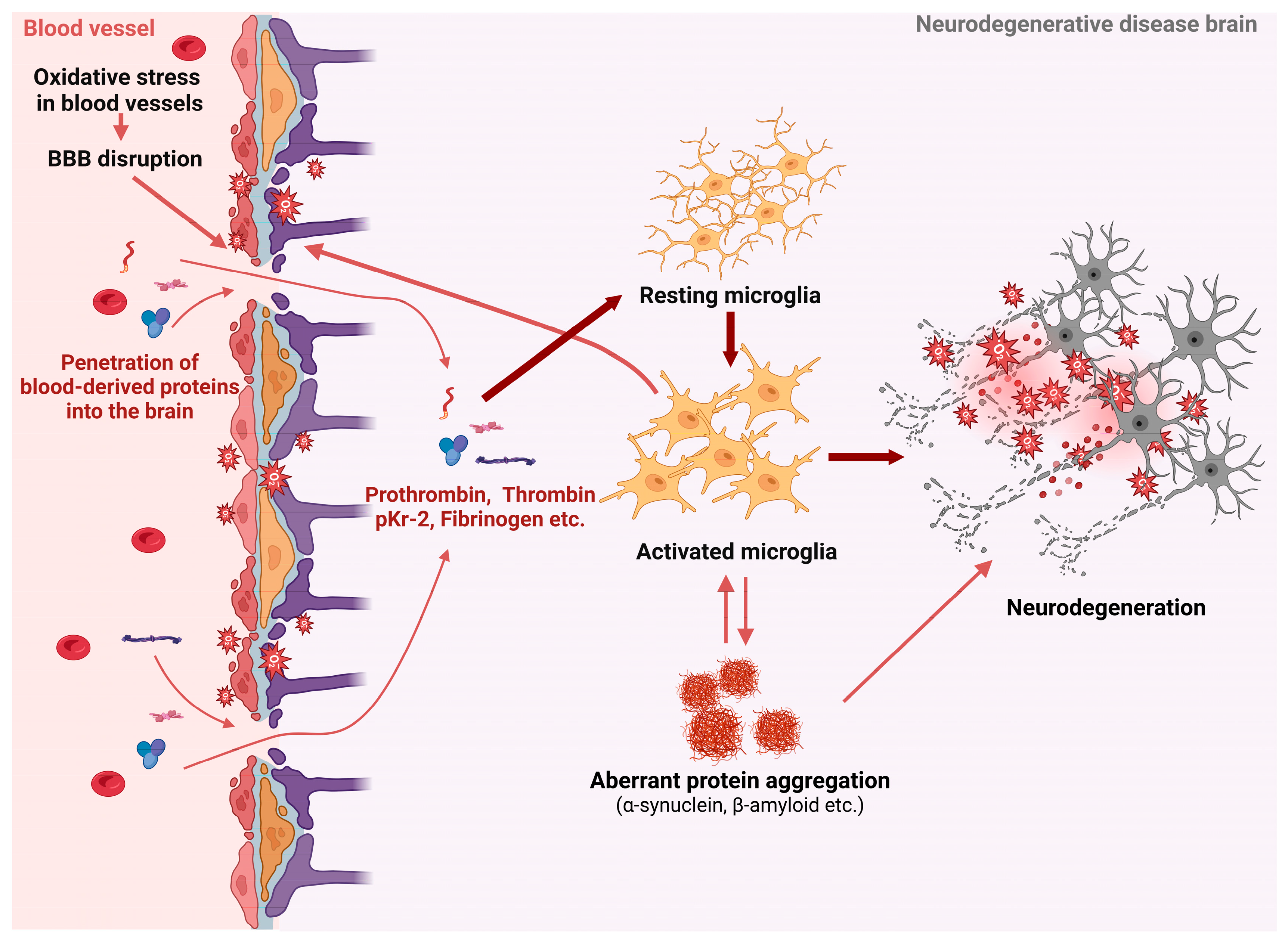 Antioxidants 13 01462 g004