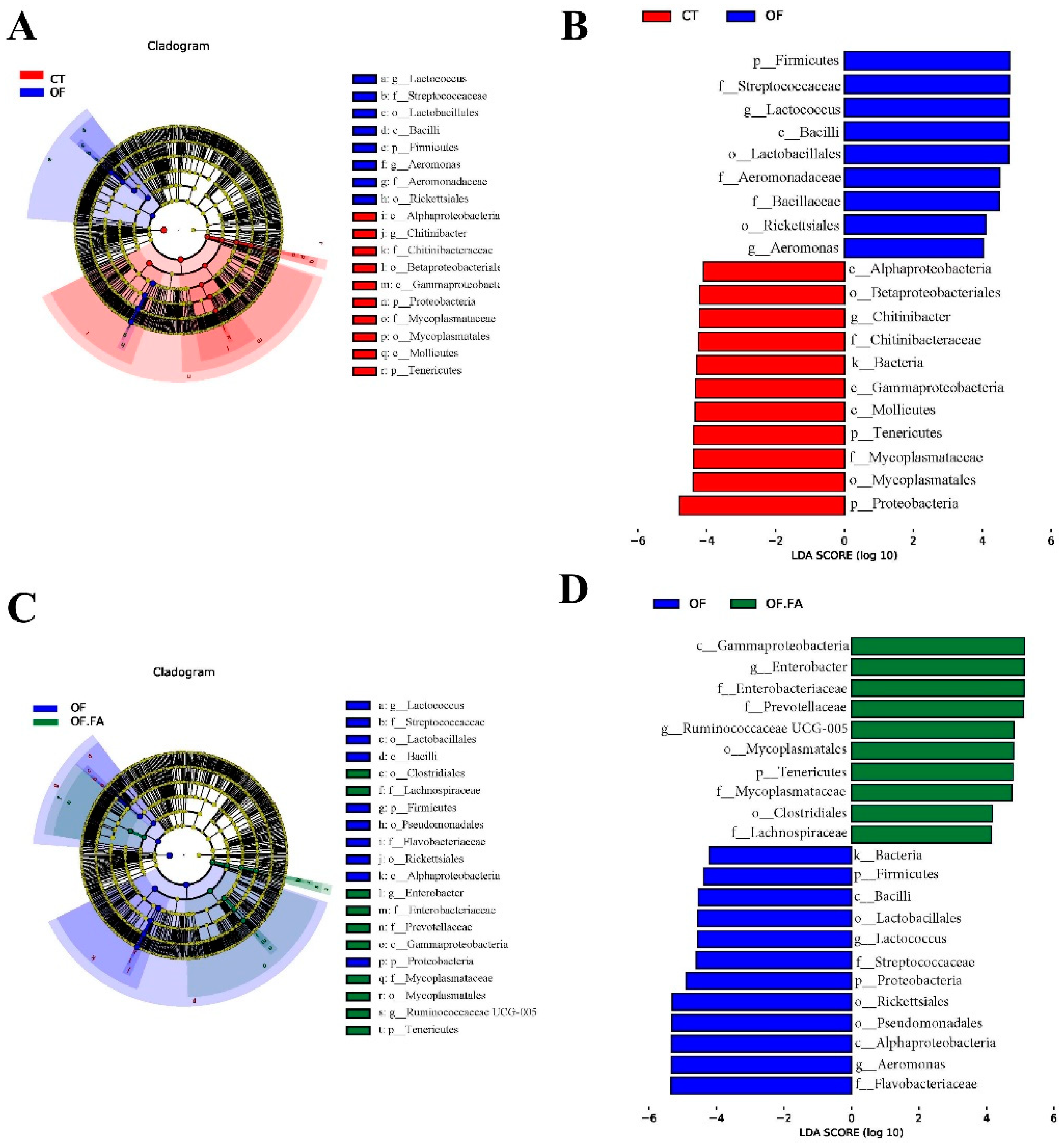Antioxidants 13 01463 g005