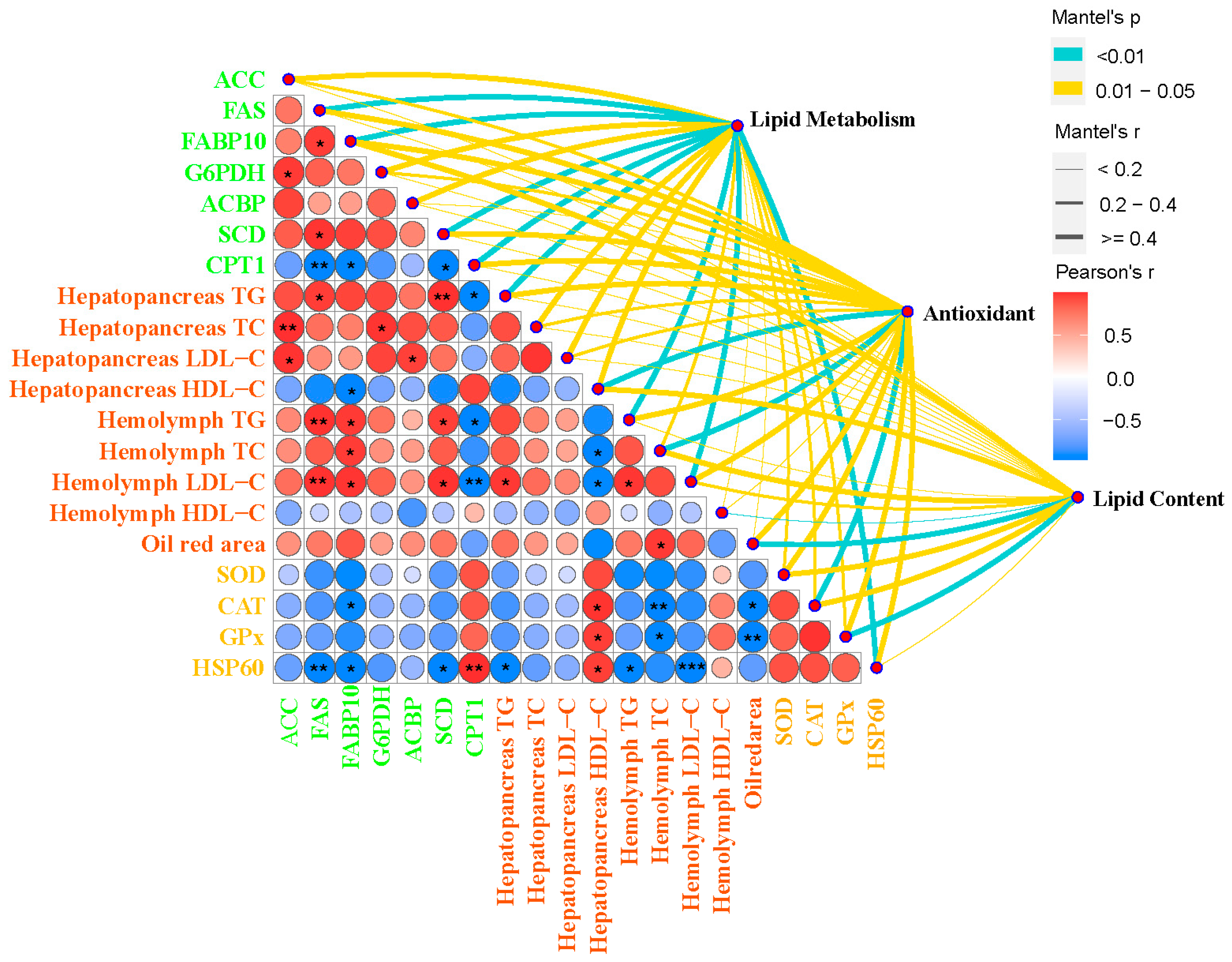 Antioxidants 13 01463 g007