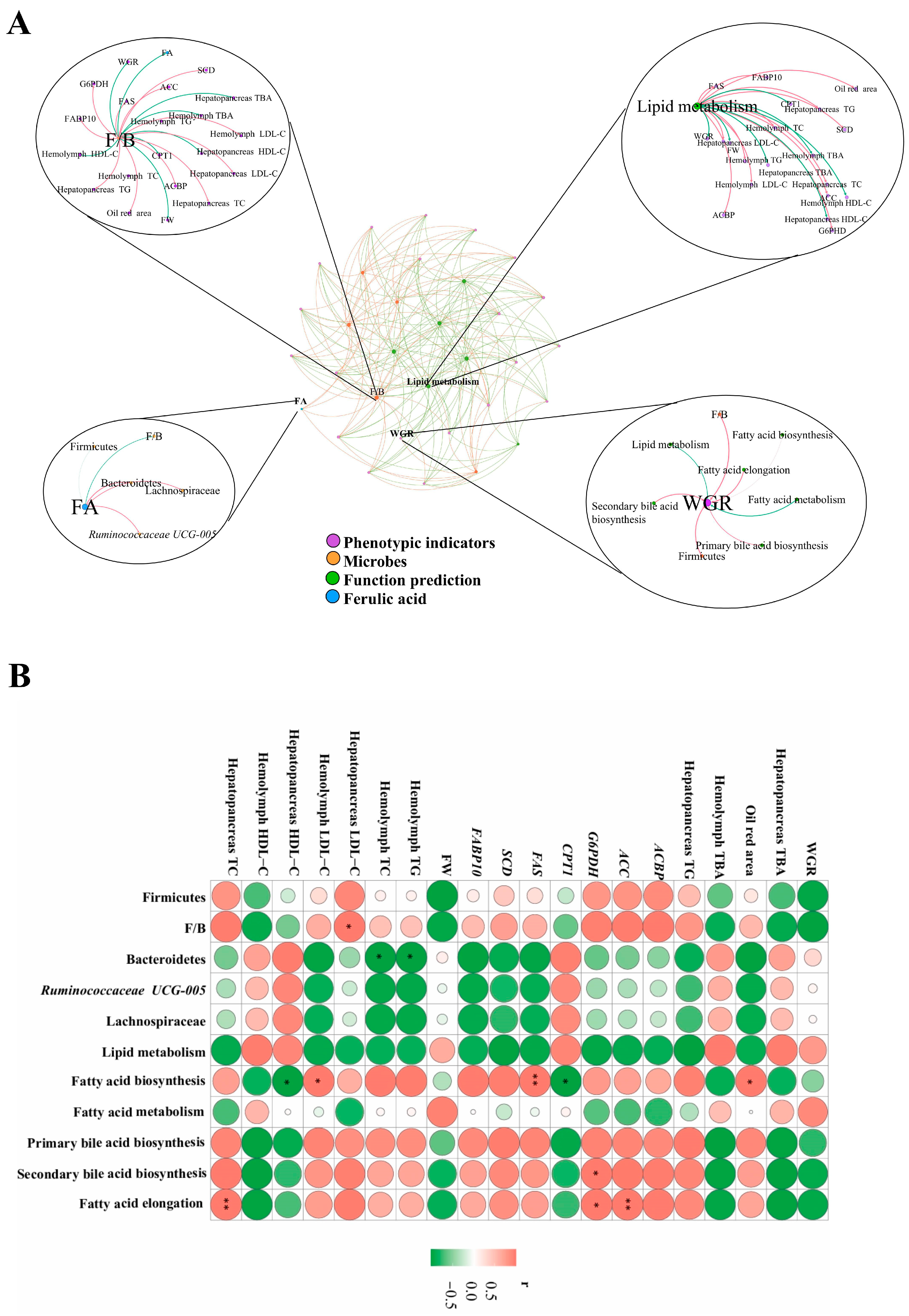 Antioxidants 13 01463 g008