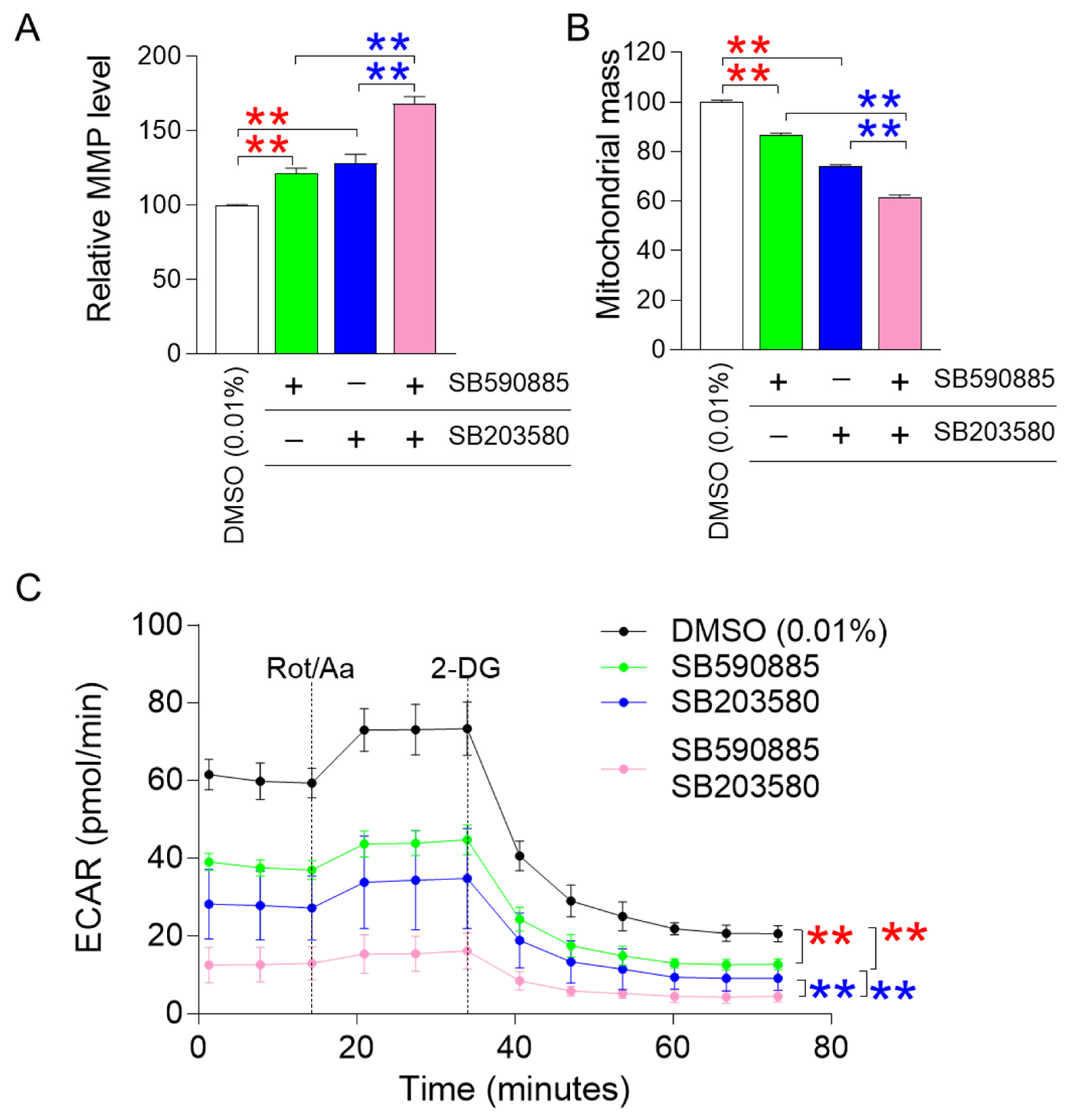 Antioxidants 13 01465 g002