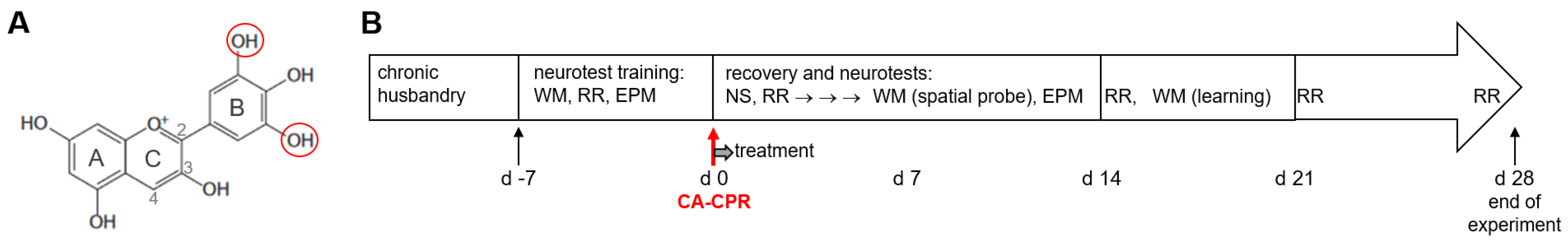 Antioxidants 13 01469 g001
