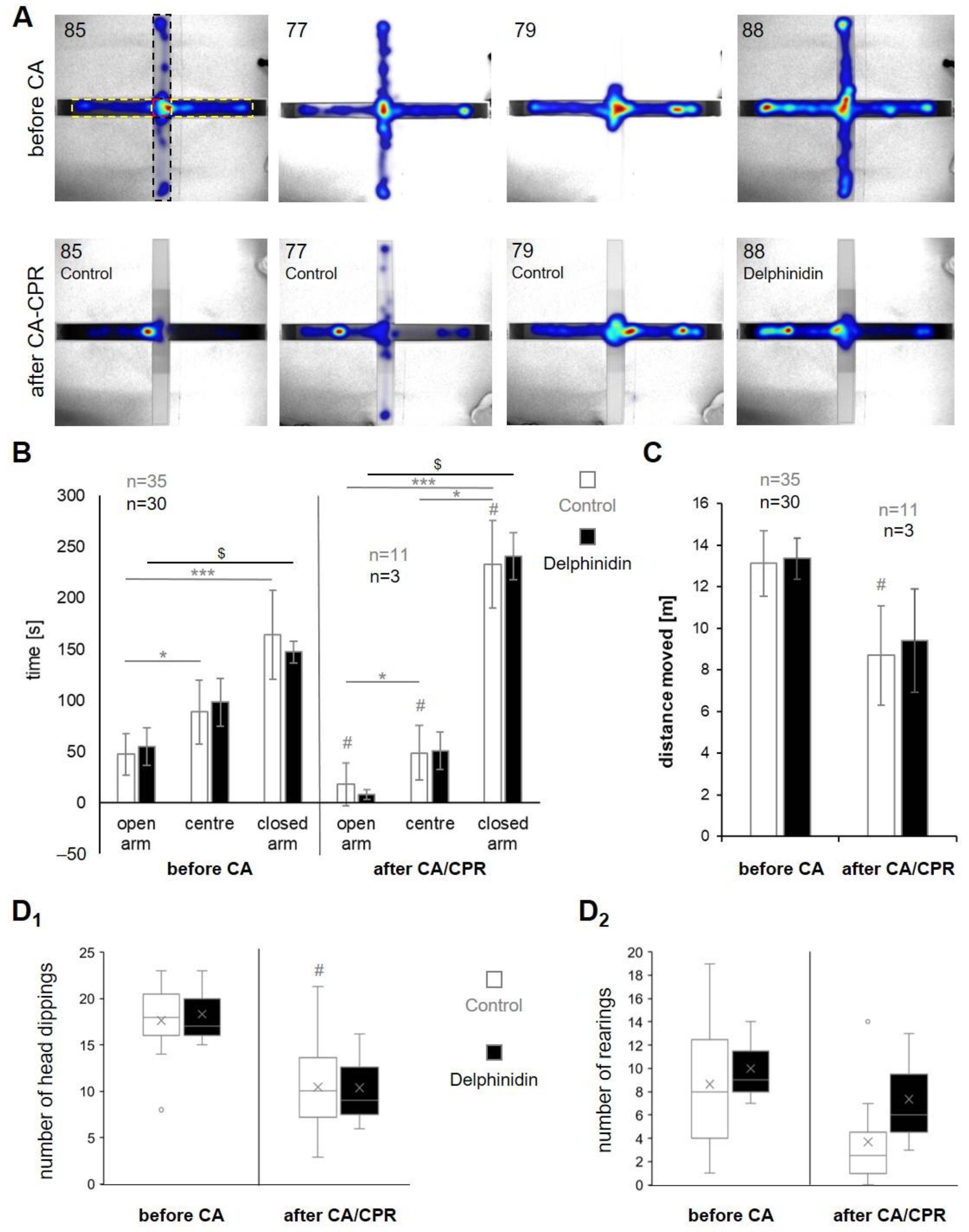 Antioxidants 13 01469 g005