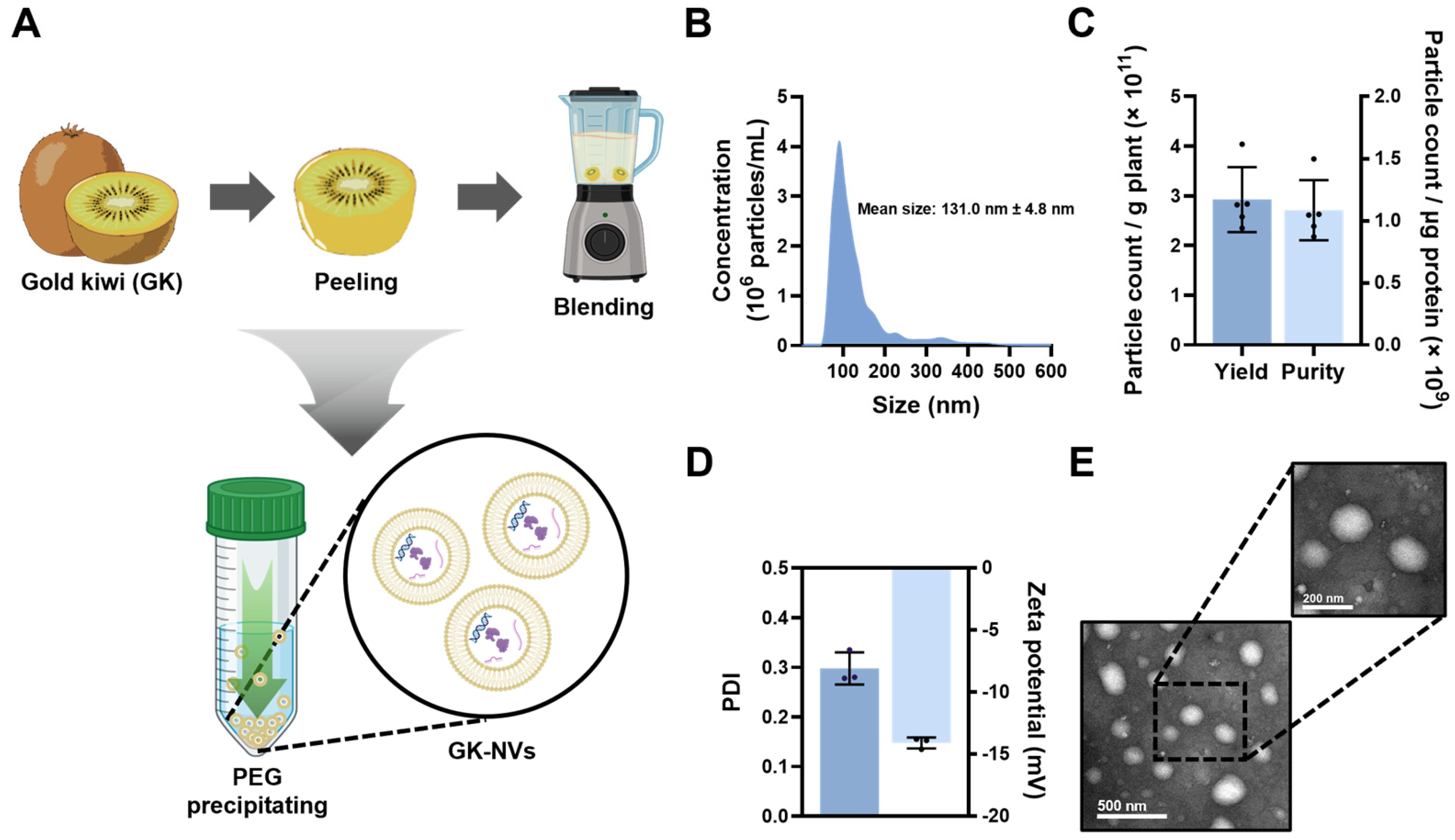 Antioxidants 13 01474 g001
