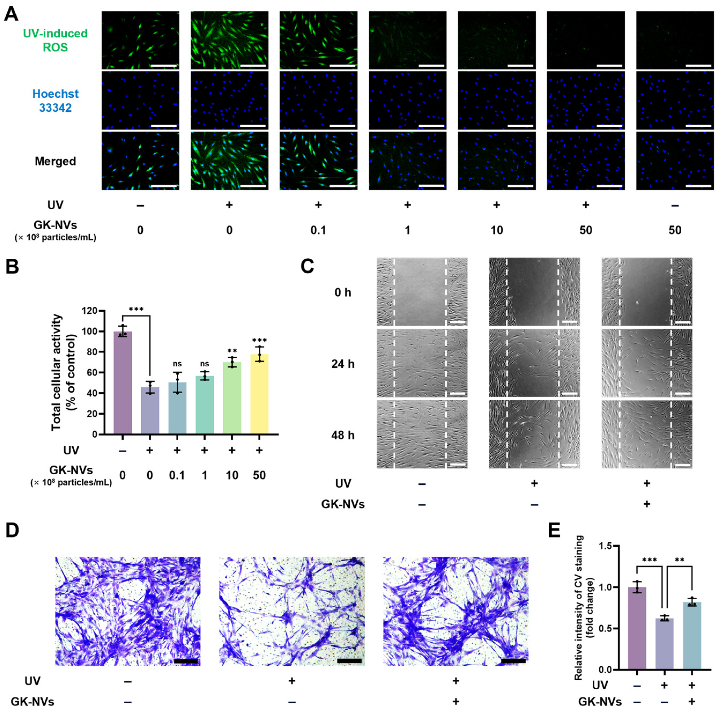 Antioxidants 13 01474 g003