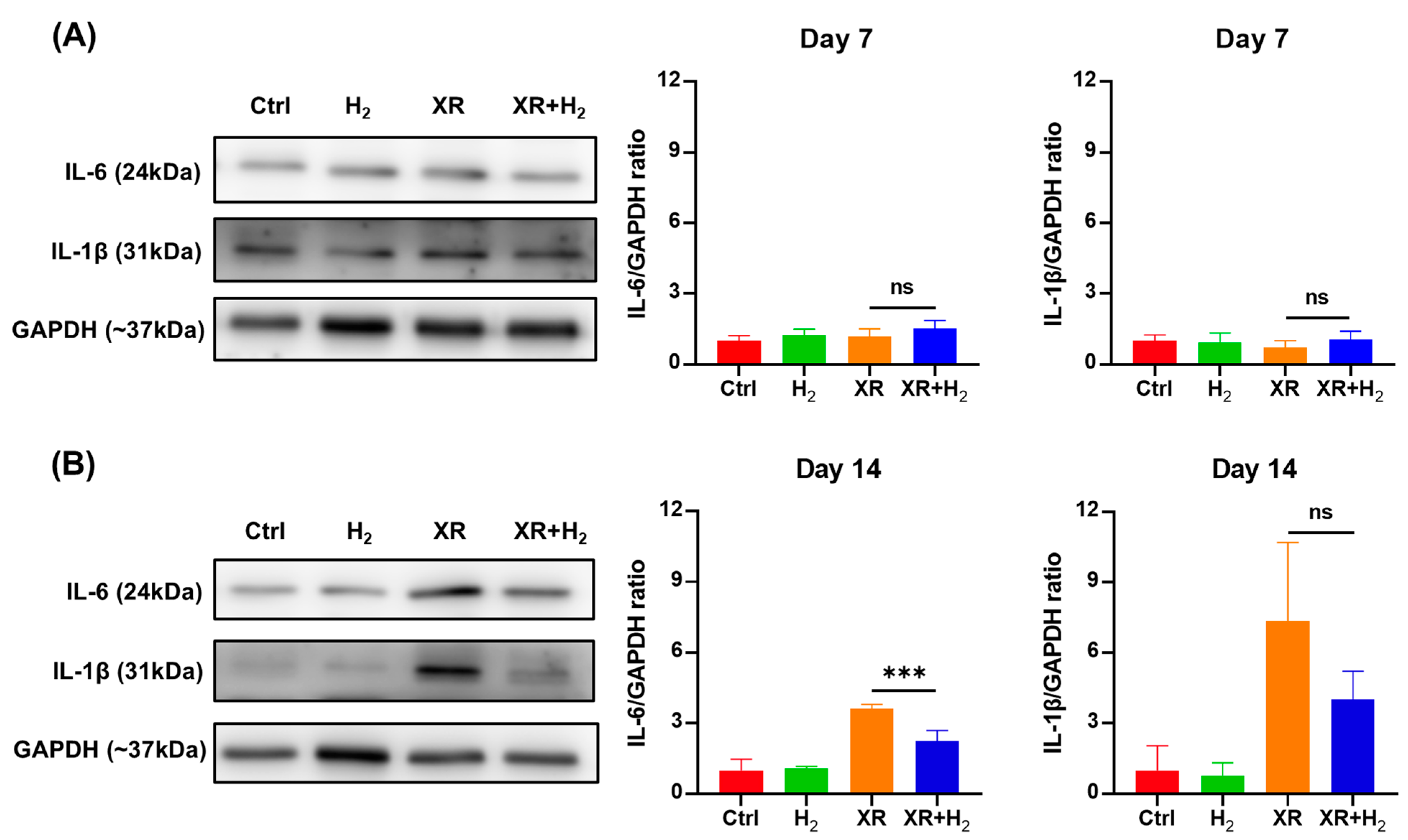 Antioxidants 13 01475 g005