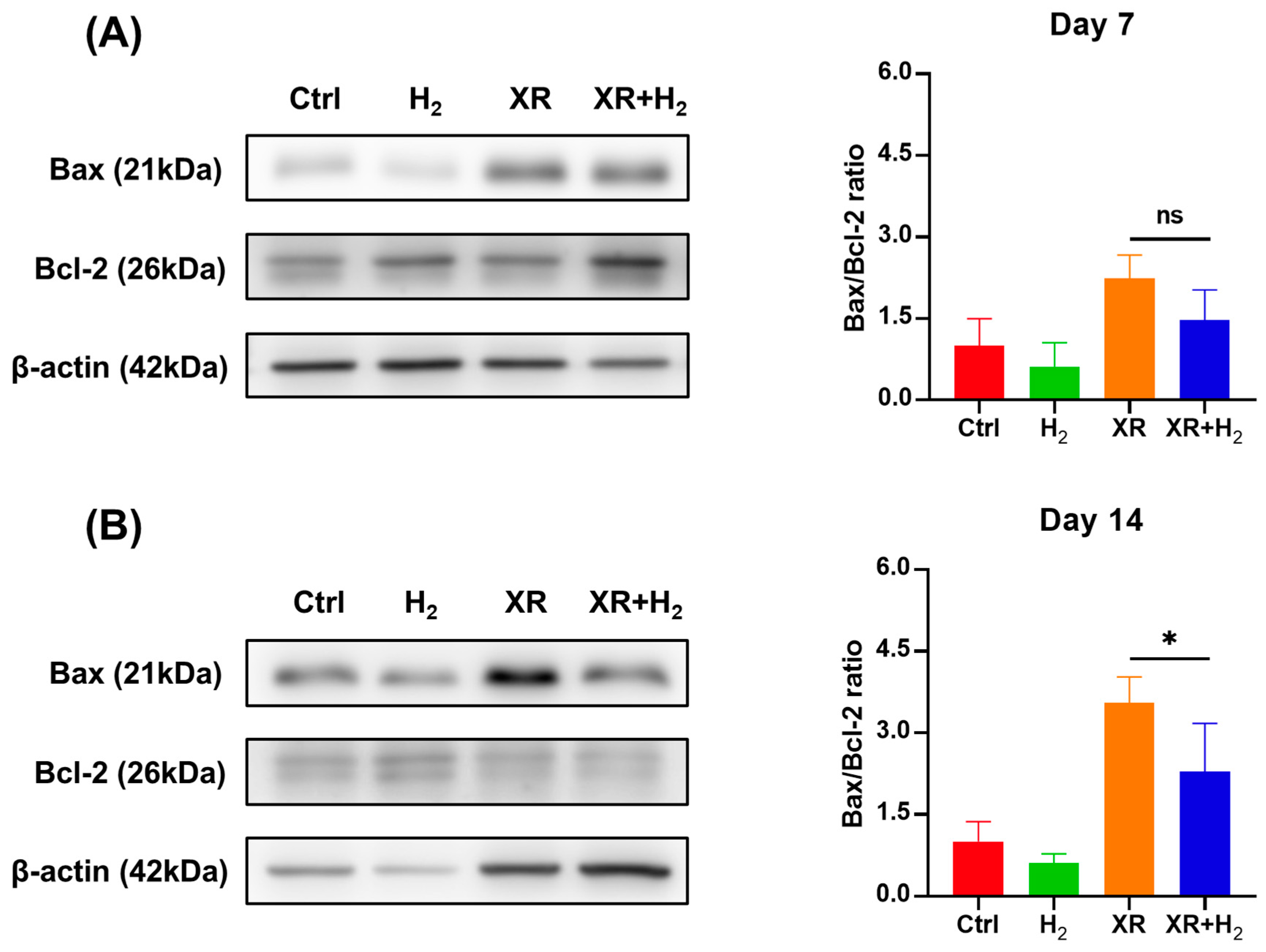 Antioxidants 13 01475 g008