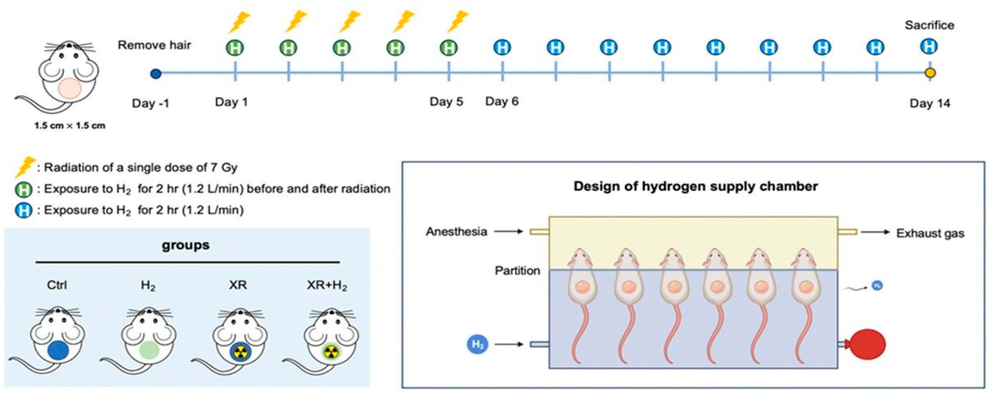 Antioxidants 13 01475 sch001