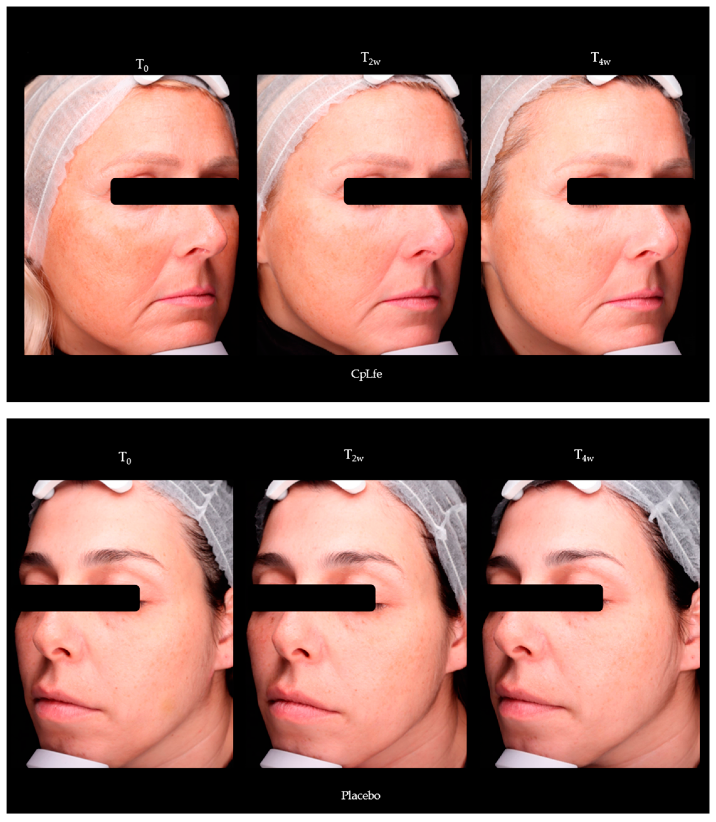 Antioxidants 13 01476 g007