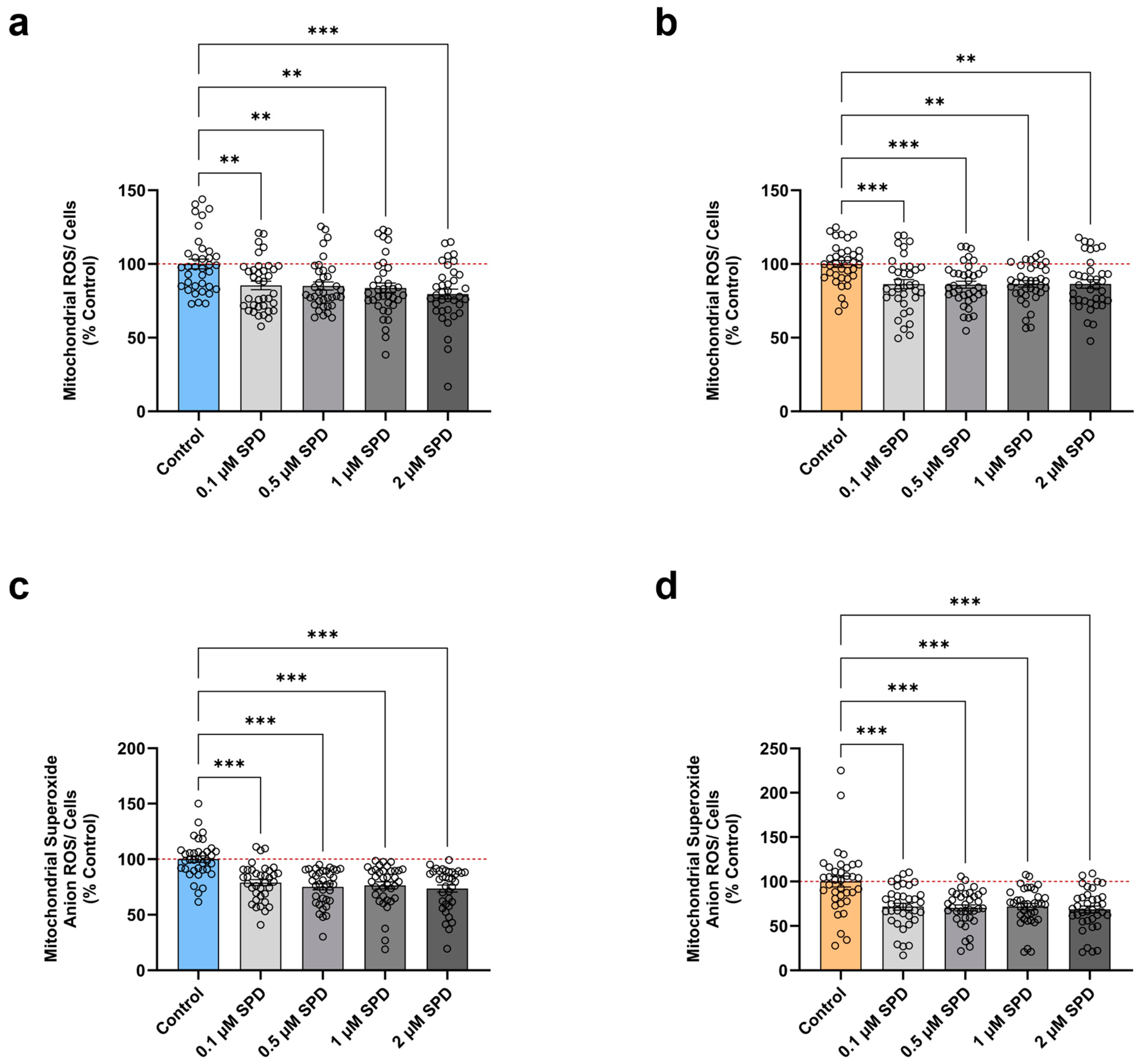 Antioxidants 13 01482 g003
