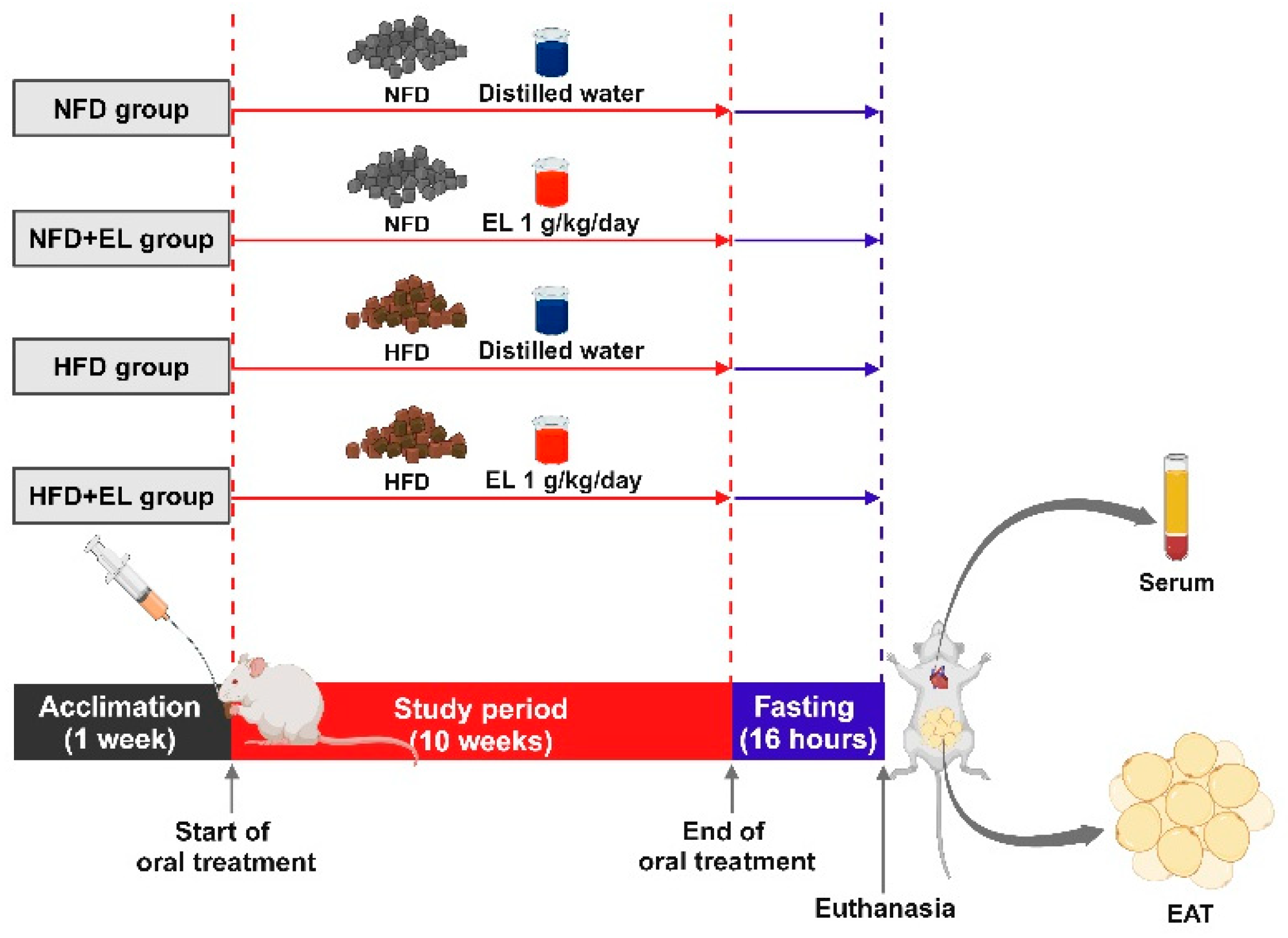 Antioxidants 13 01485 g001