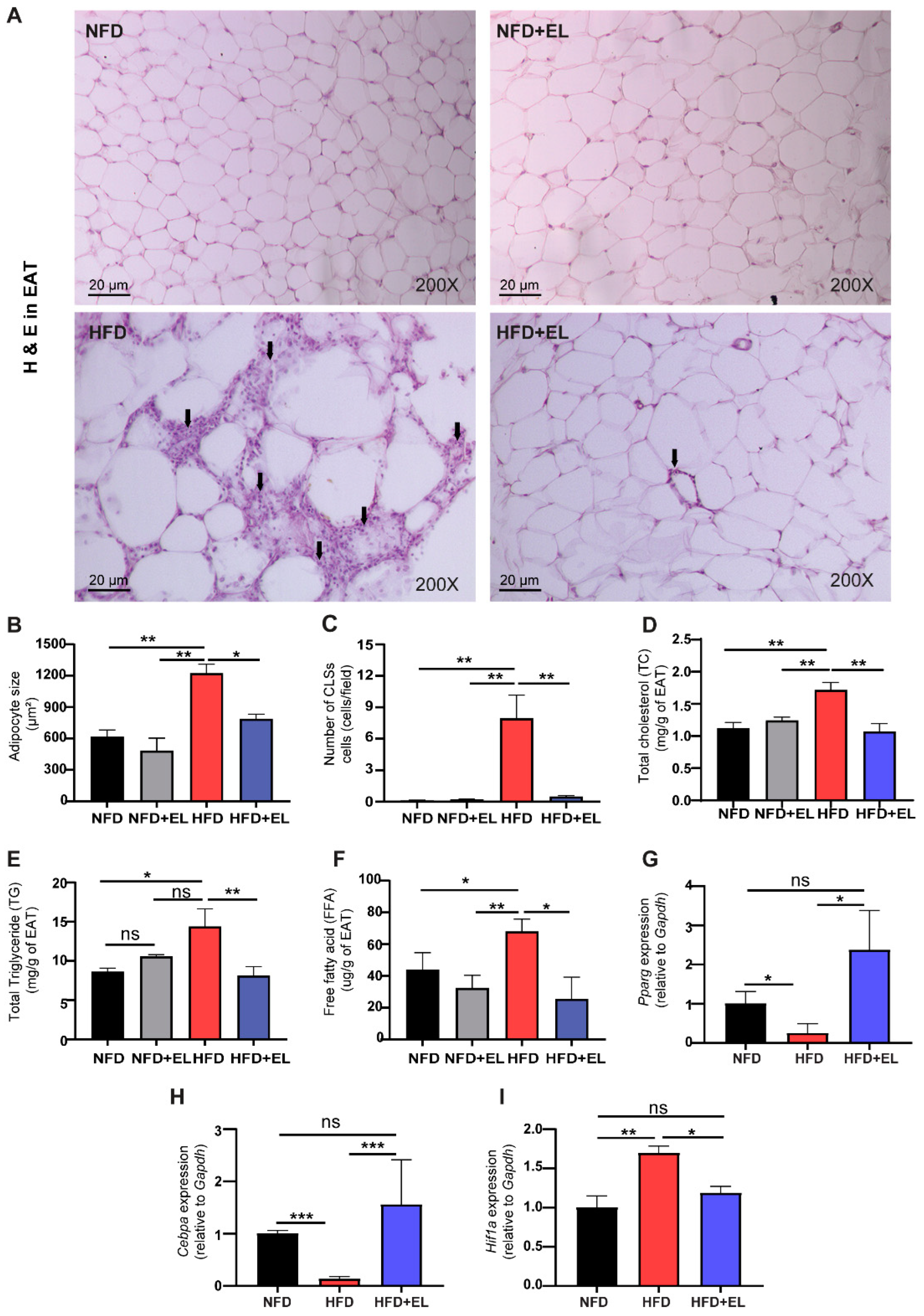 Antioxidants 13 01485 g003