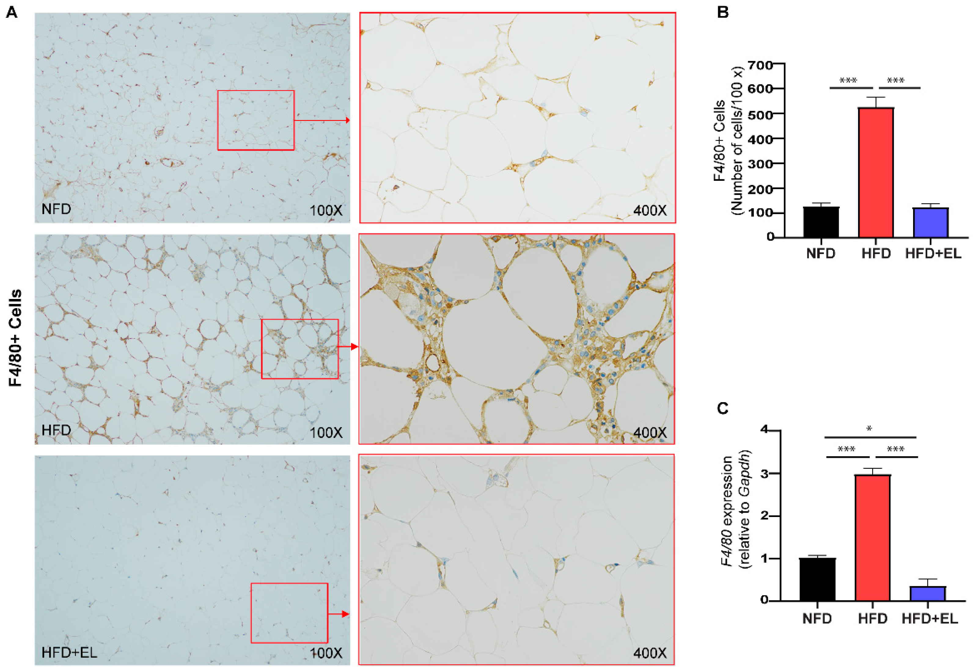 Antioxidants 13 01485 g005