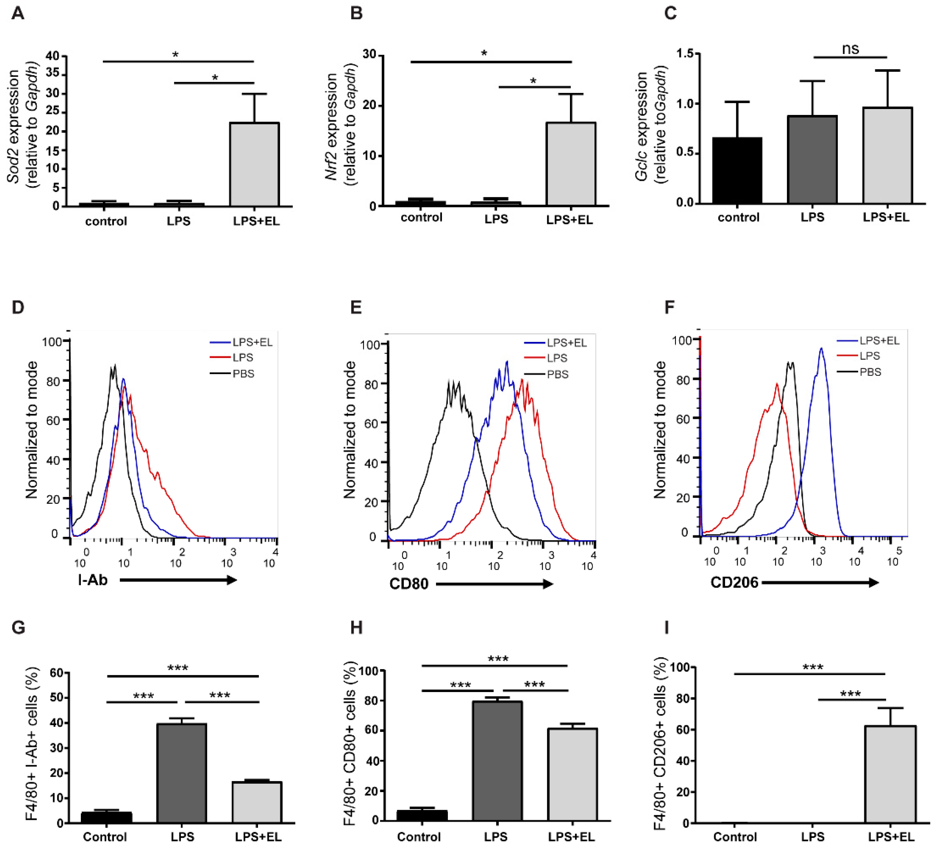 Antioxidants 13 01485 g007
