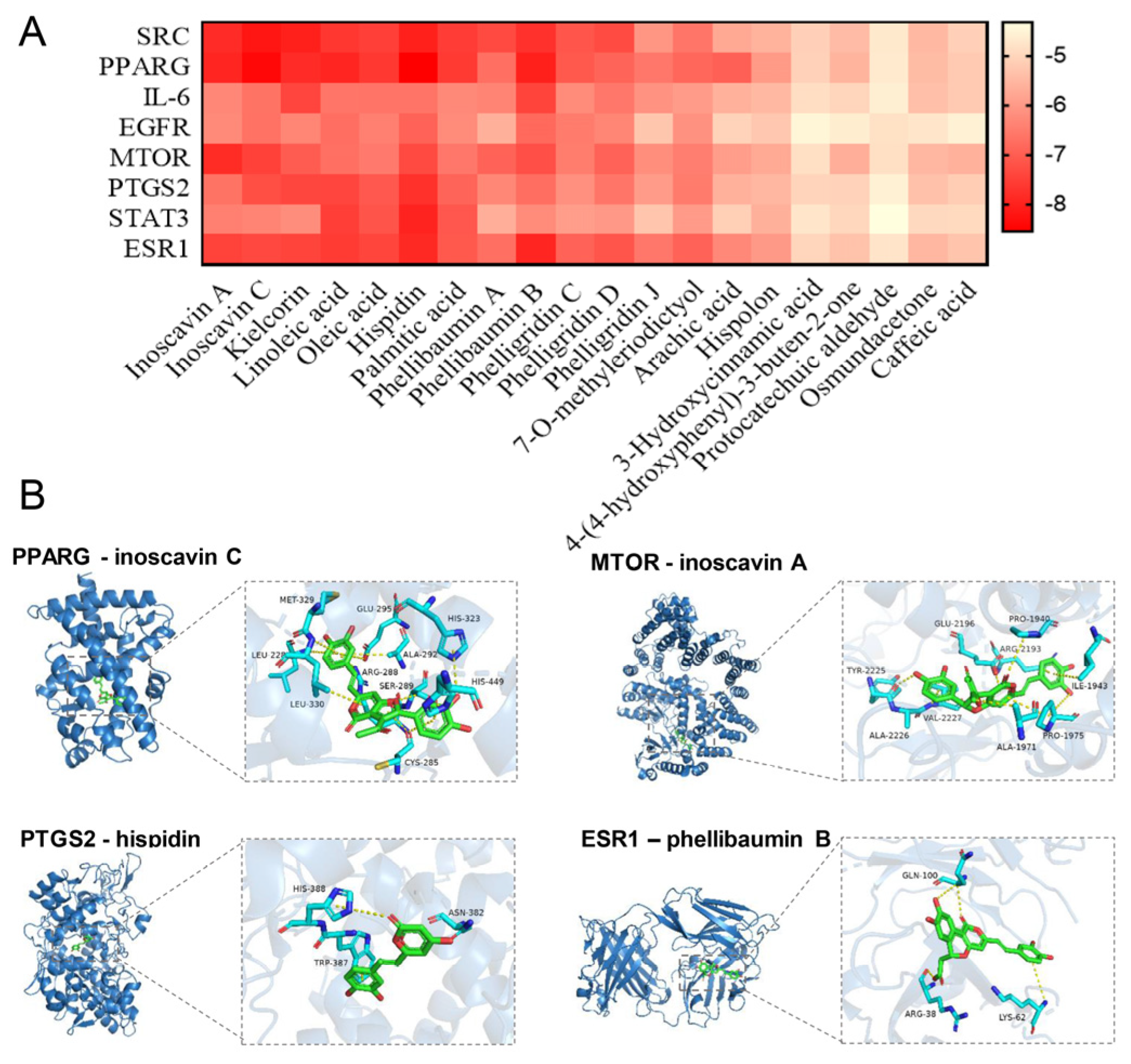 Antioxidants 13 01487 g007