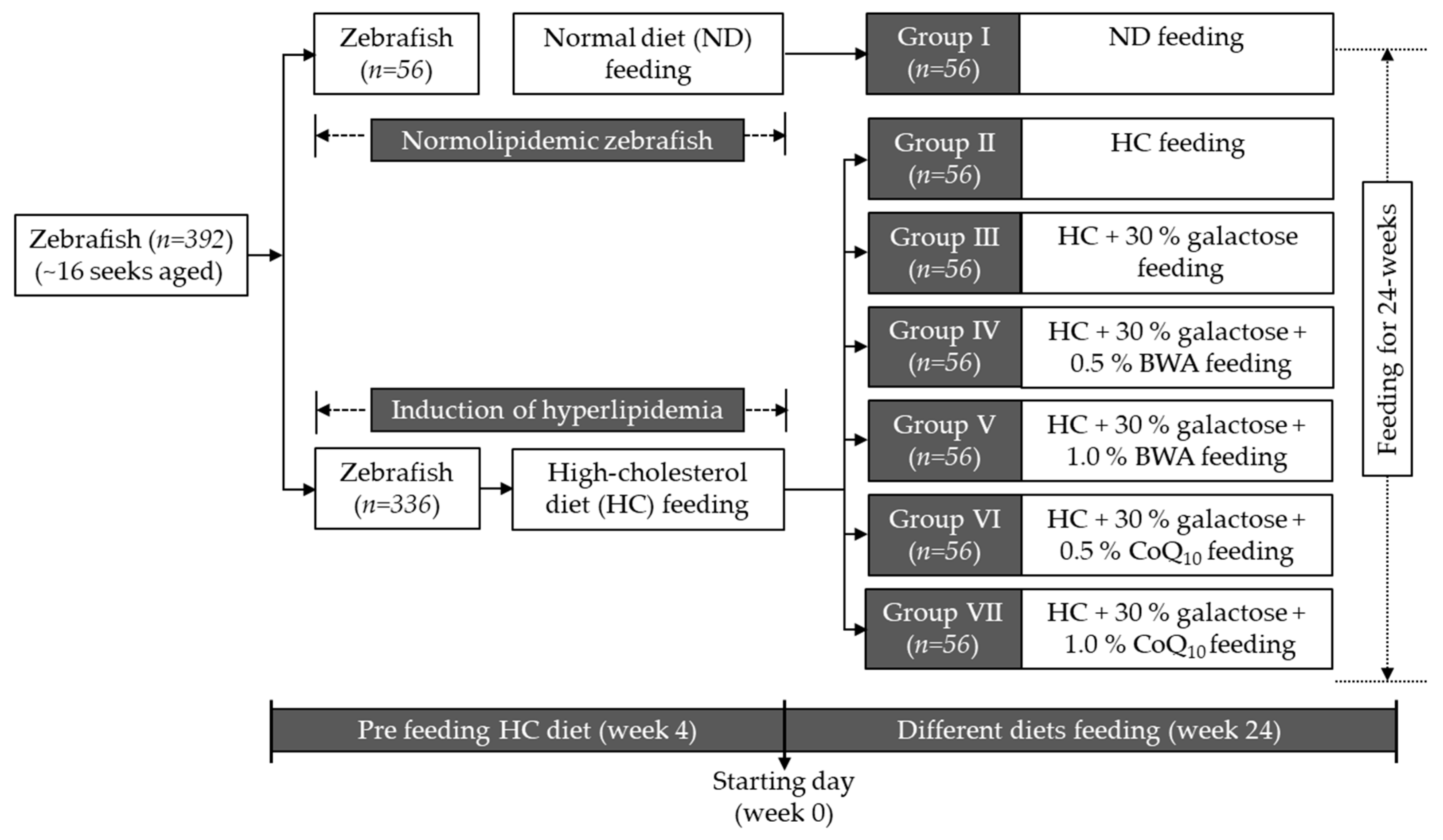 Antioxidants 13 01488 g001