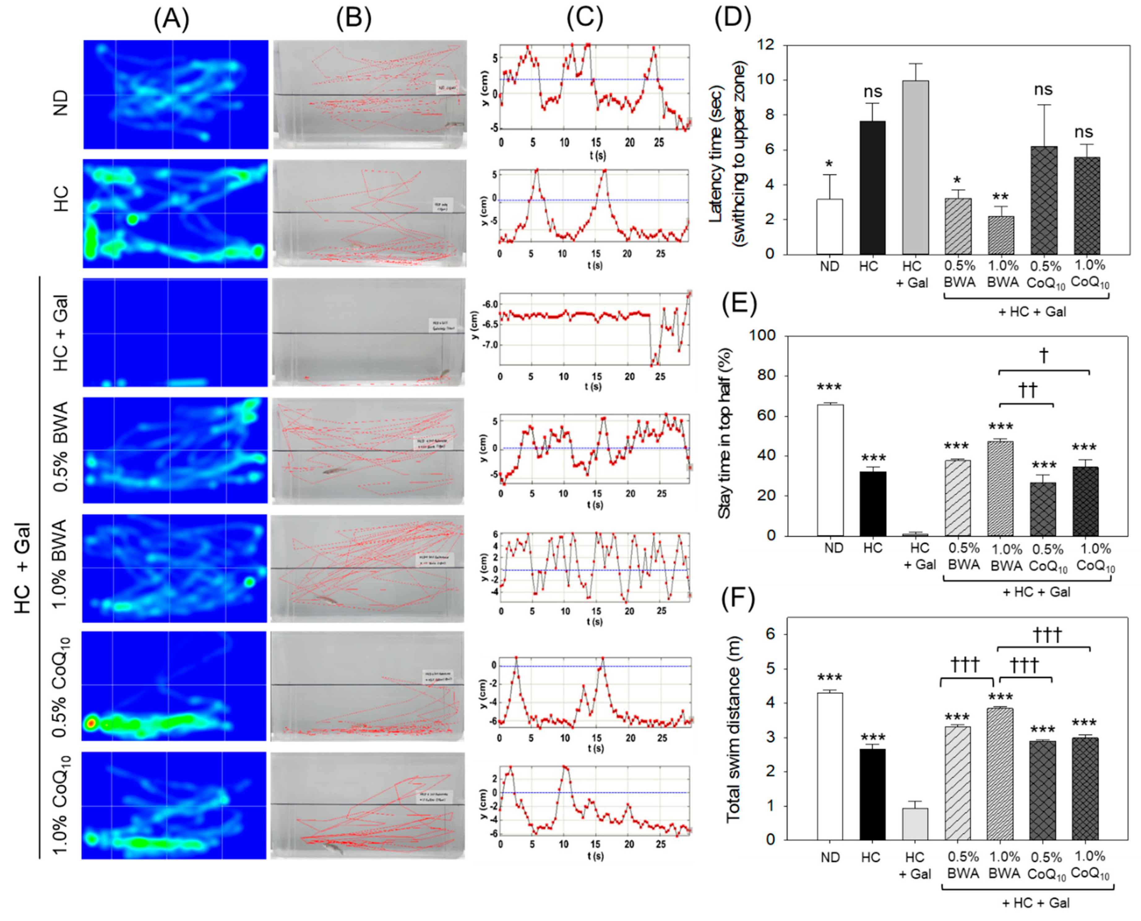 Antioxidants 13 01488 g003