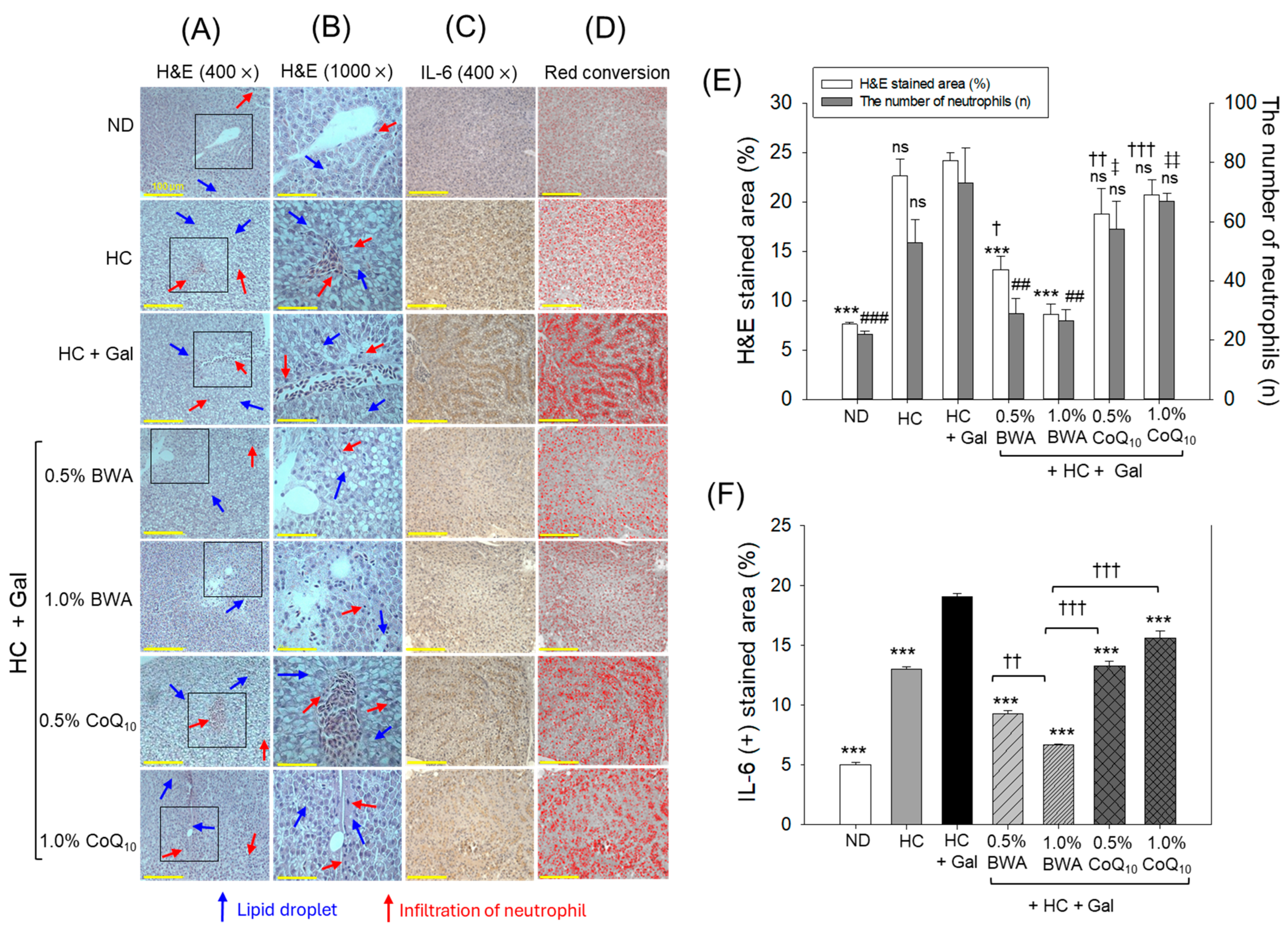 Antioxidants 13 01488 g008