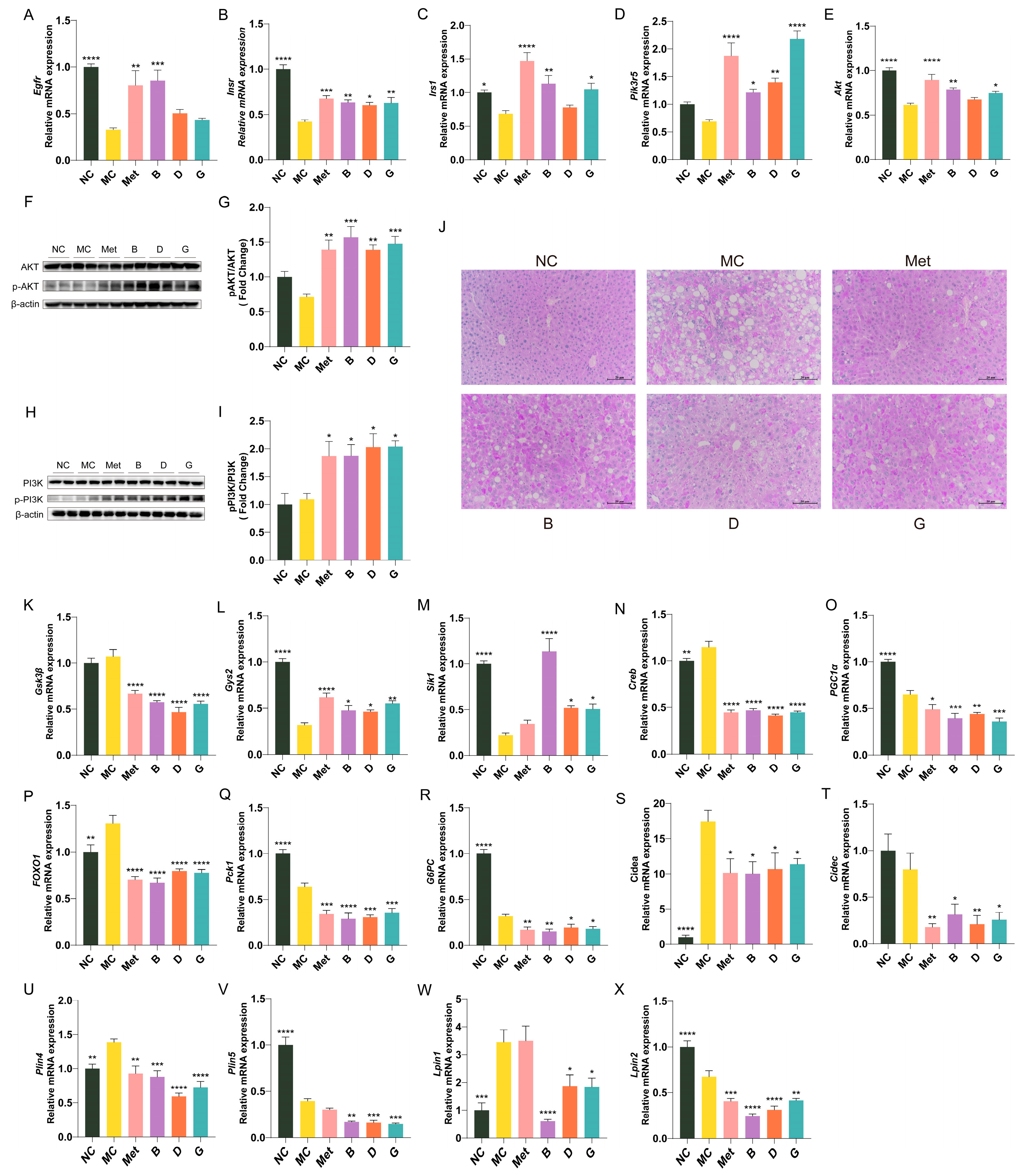 Antioxidants 13 01490 g007