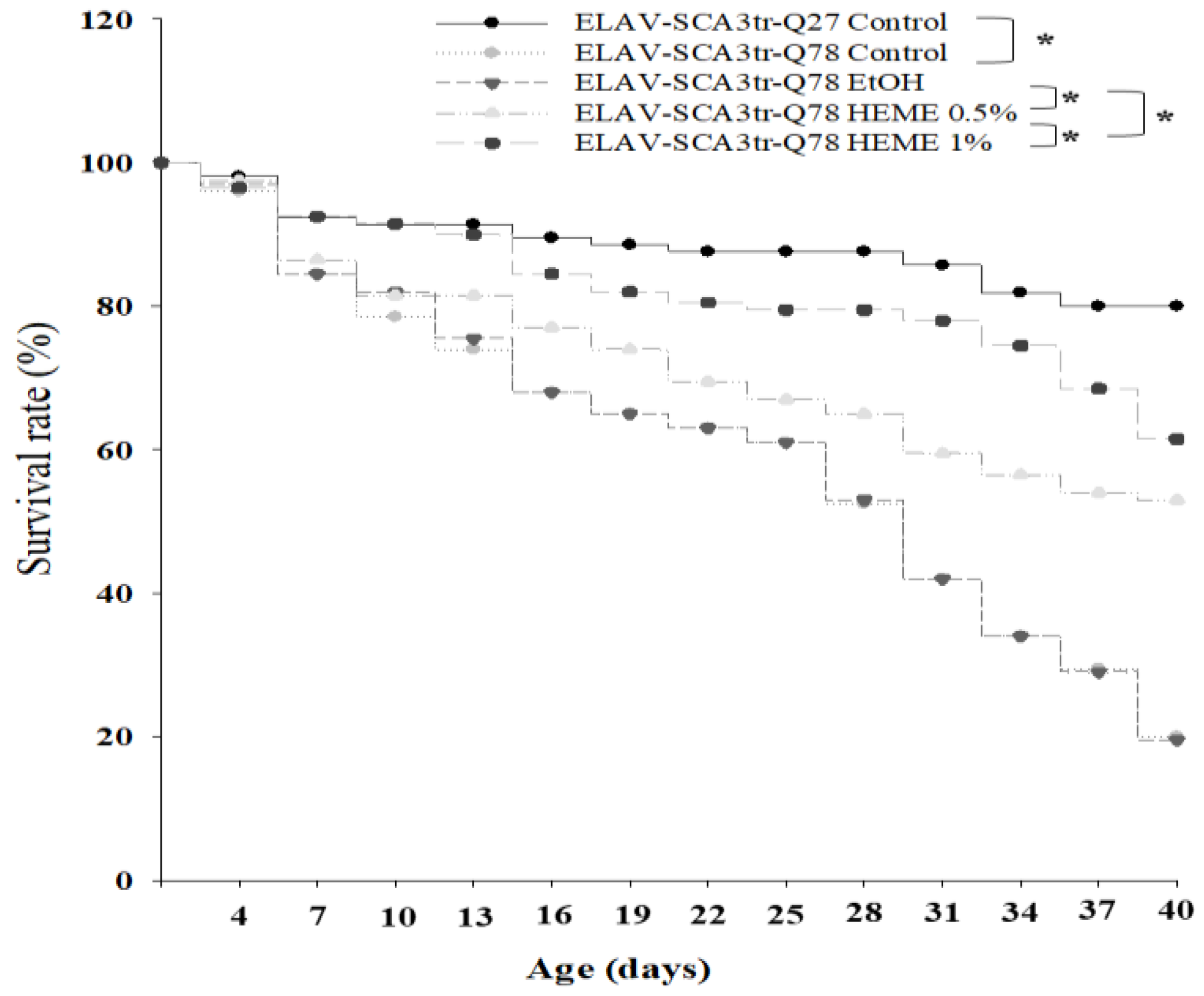Antioxidants 13 01495 g001