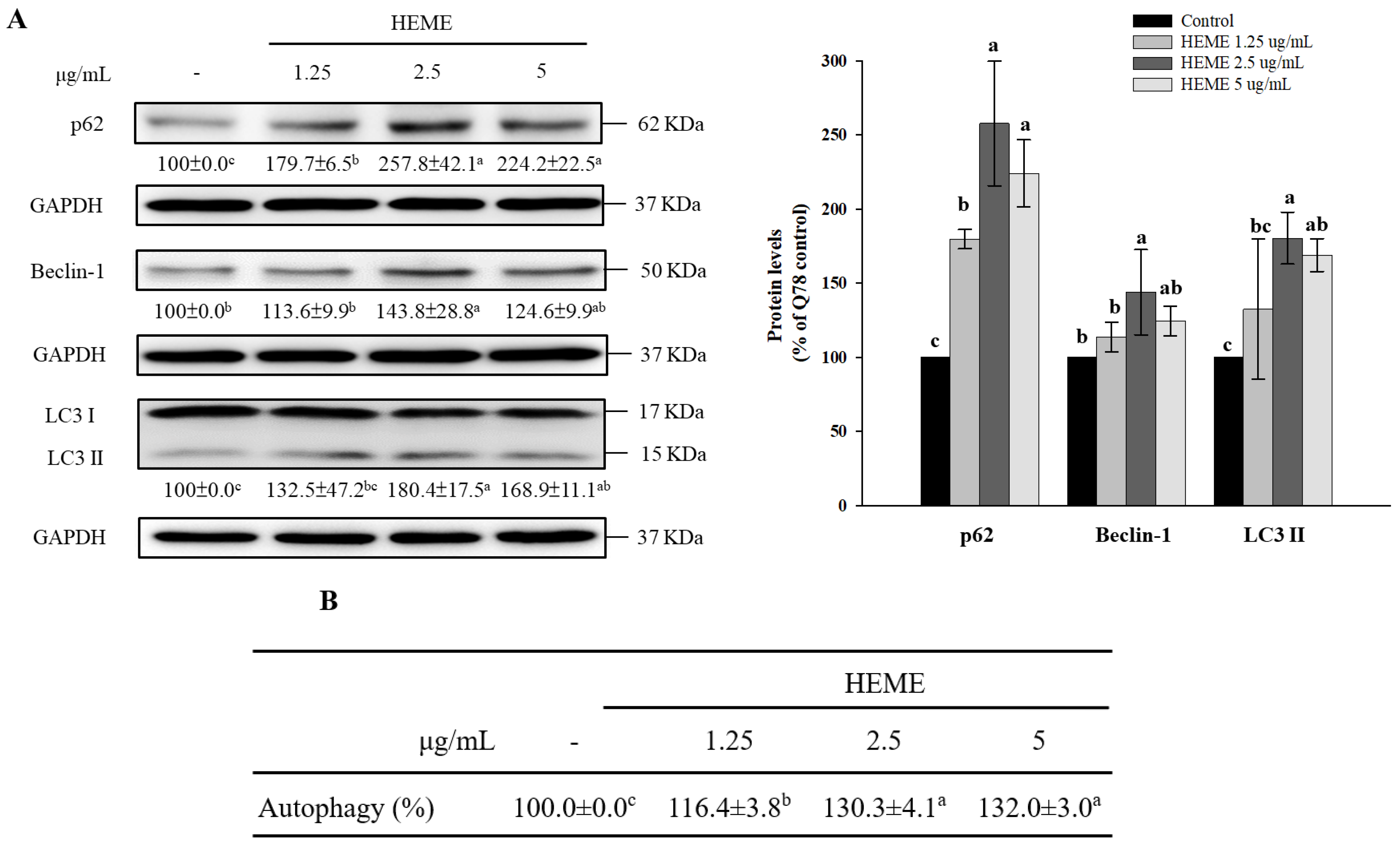 Antioxidants 13 01495 g005