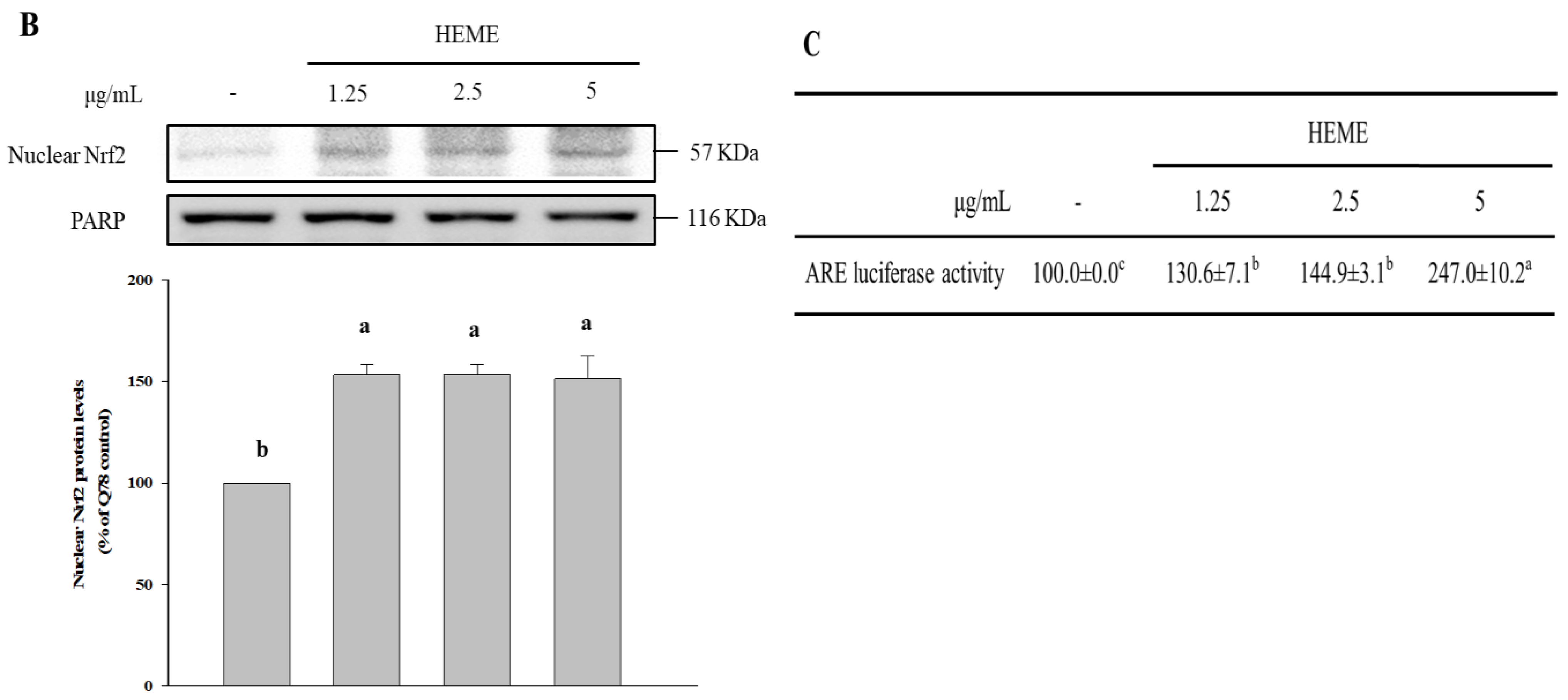 Antioxidants 13 01495 g007b