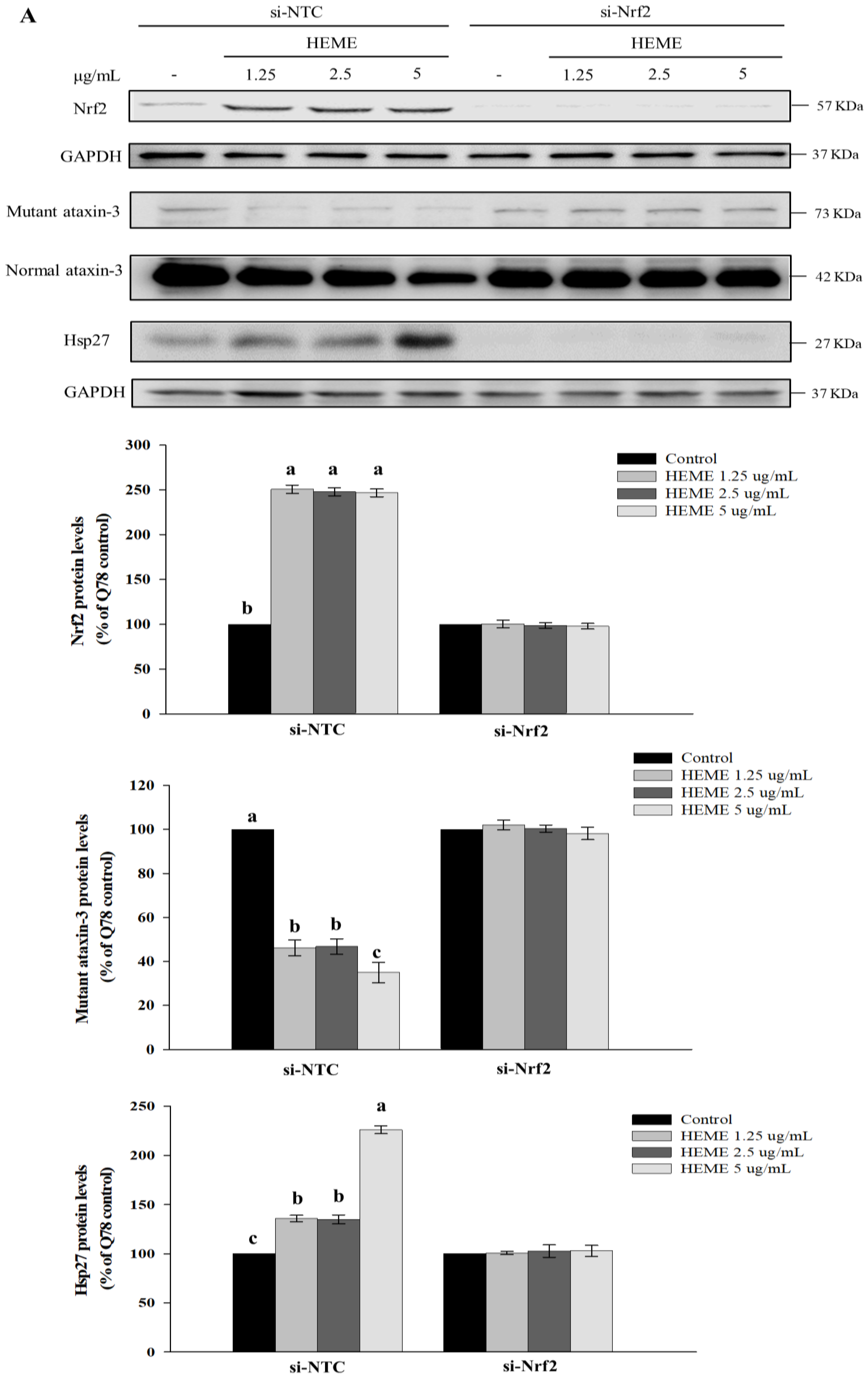 Antioxidants 13 01495 g008a