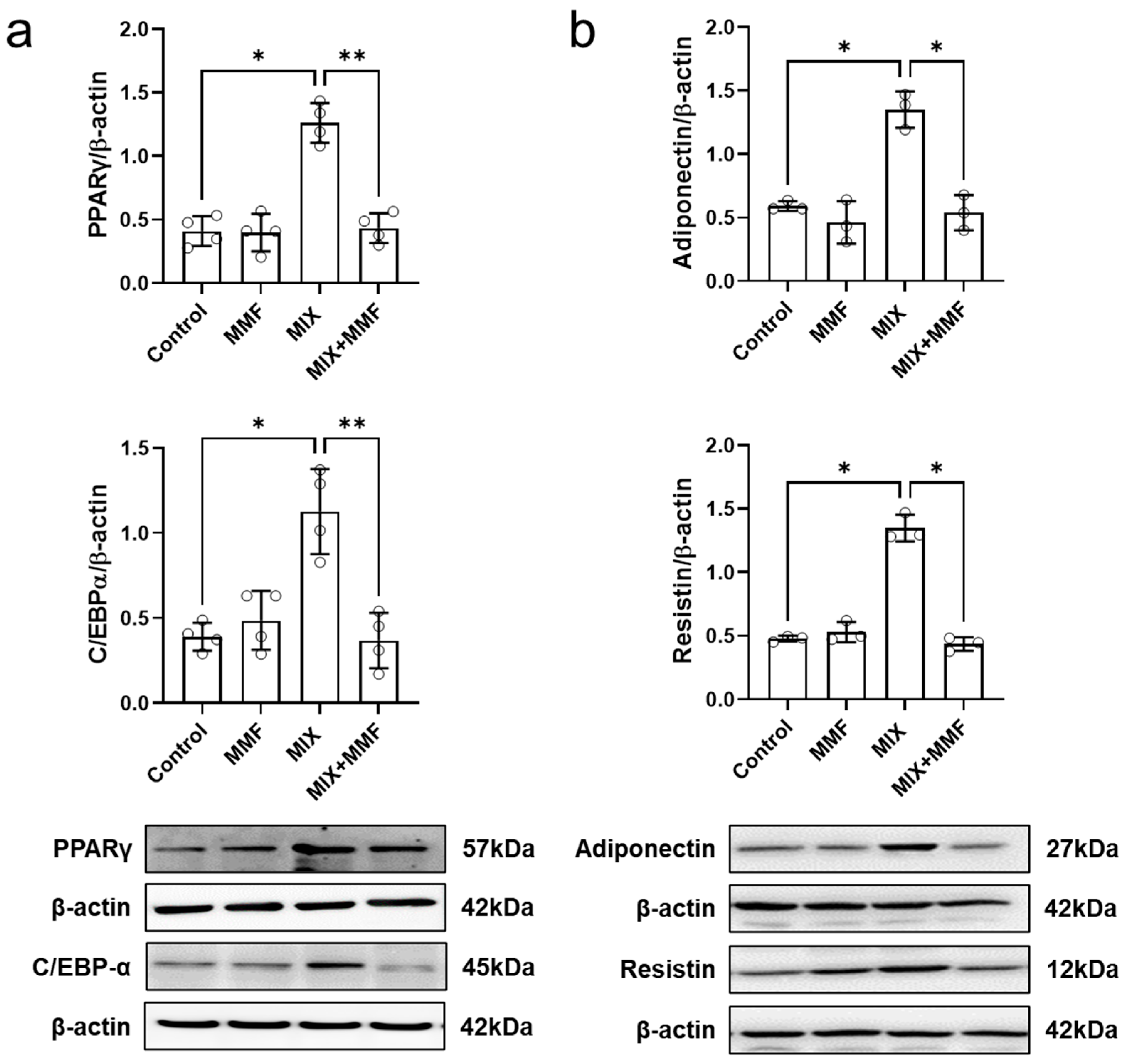 Antioxidants 13 01496 g005