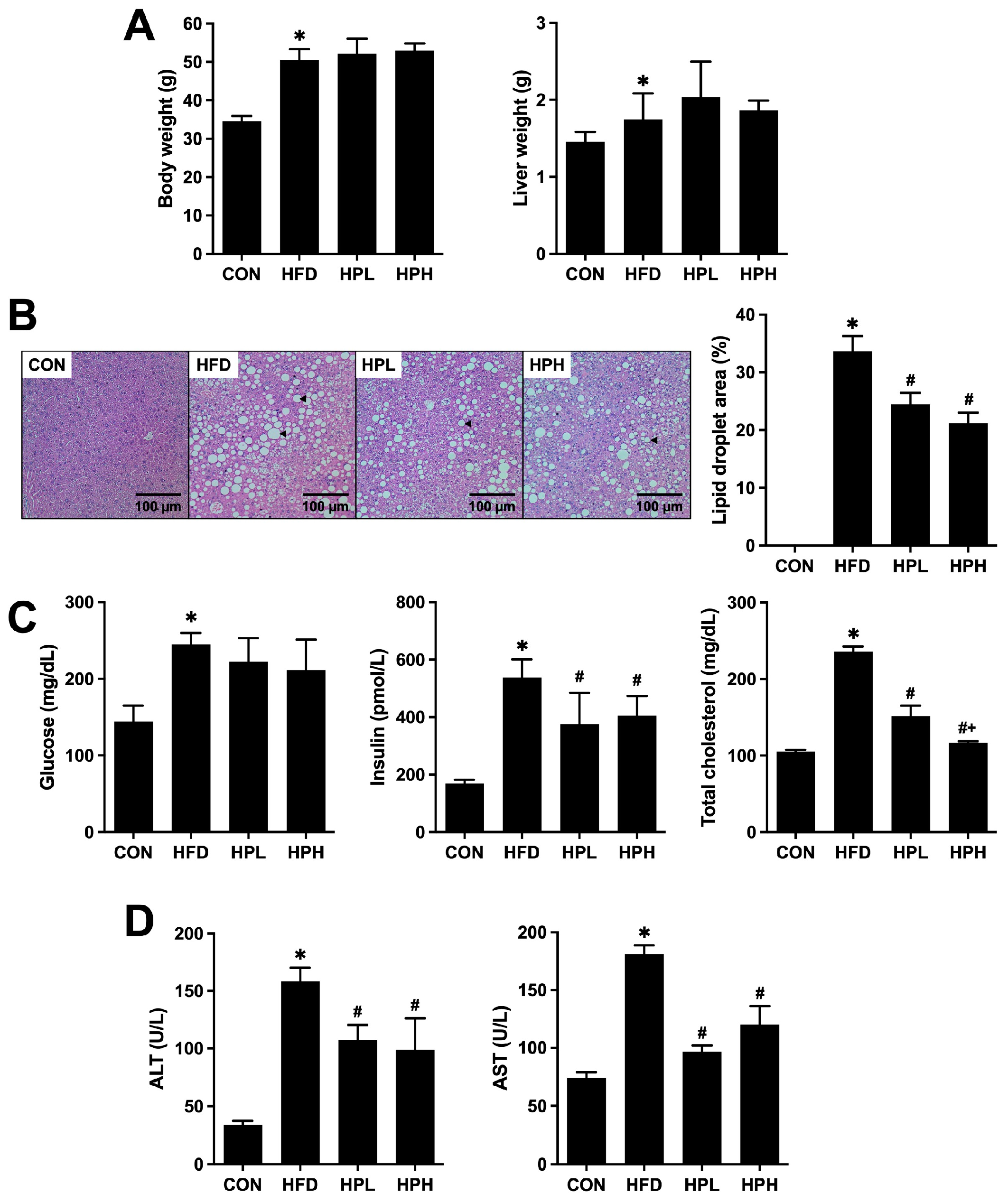 Antioxidants 13 01498 g001