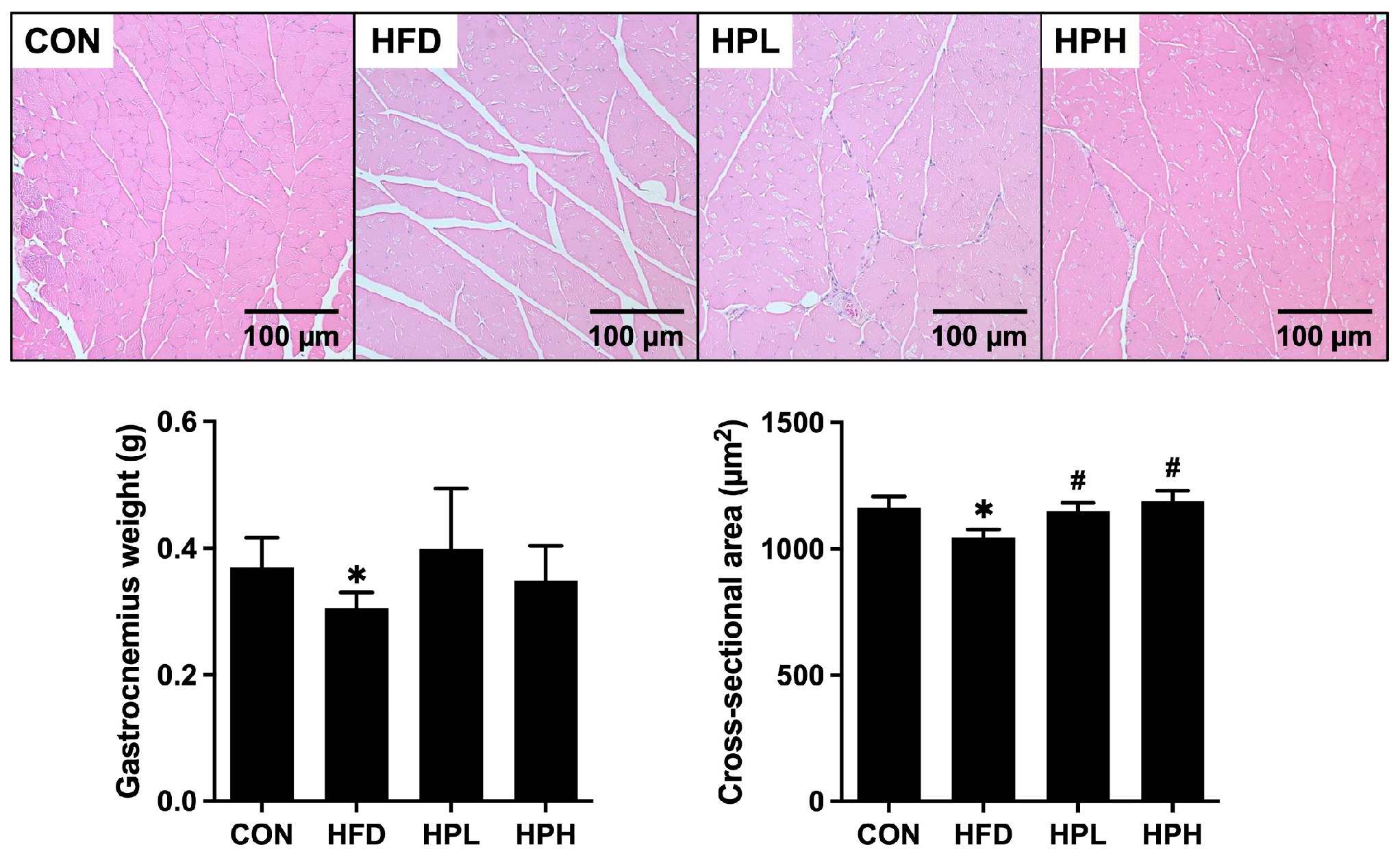 Antioxidants 13 01498 g003