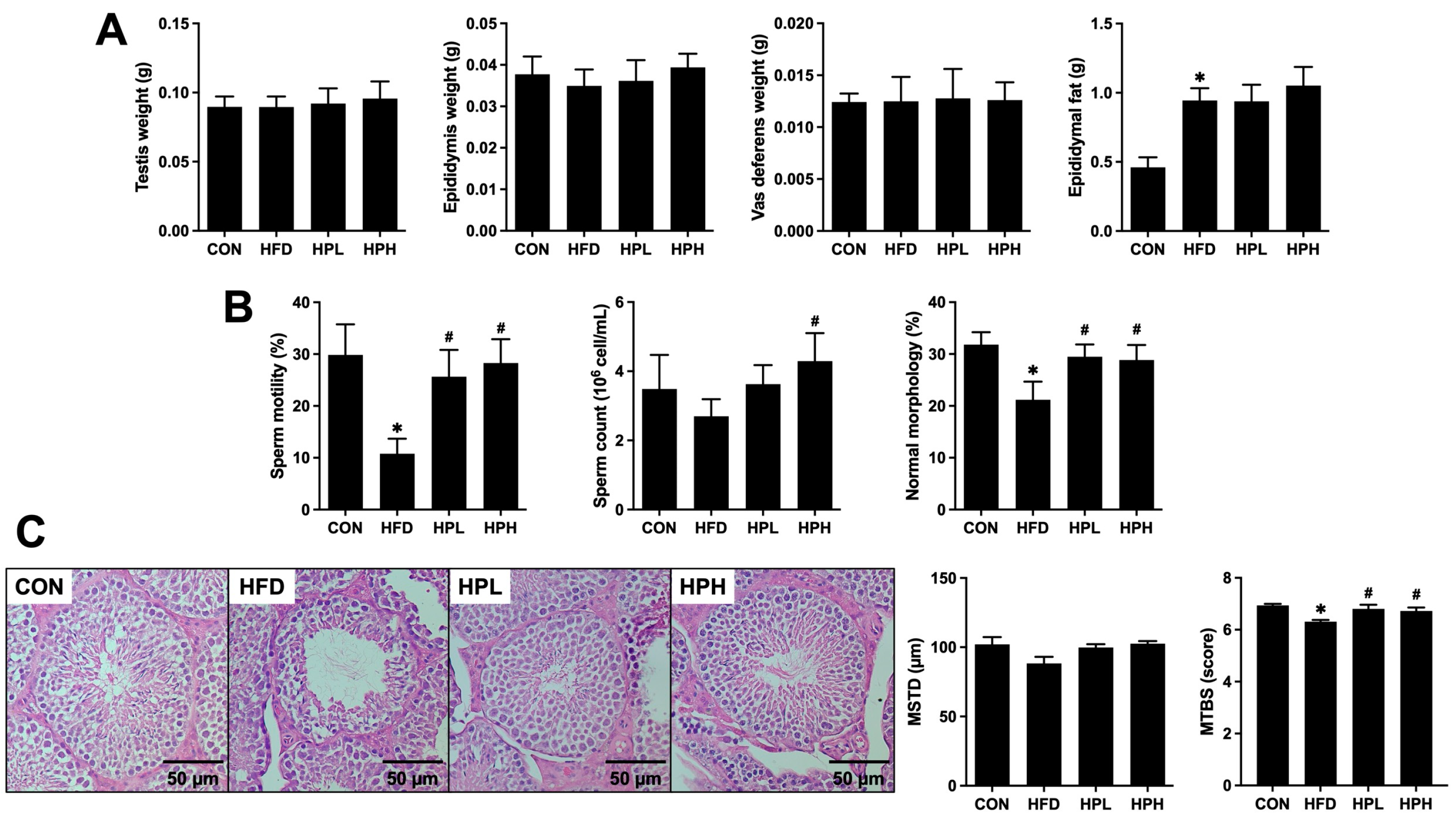 Antioxidants 13 01498 g004