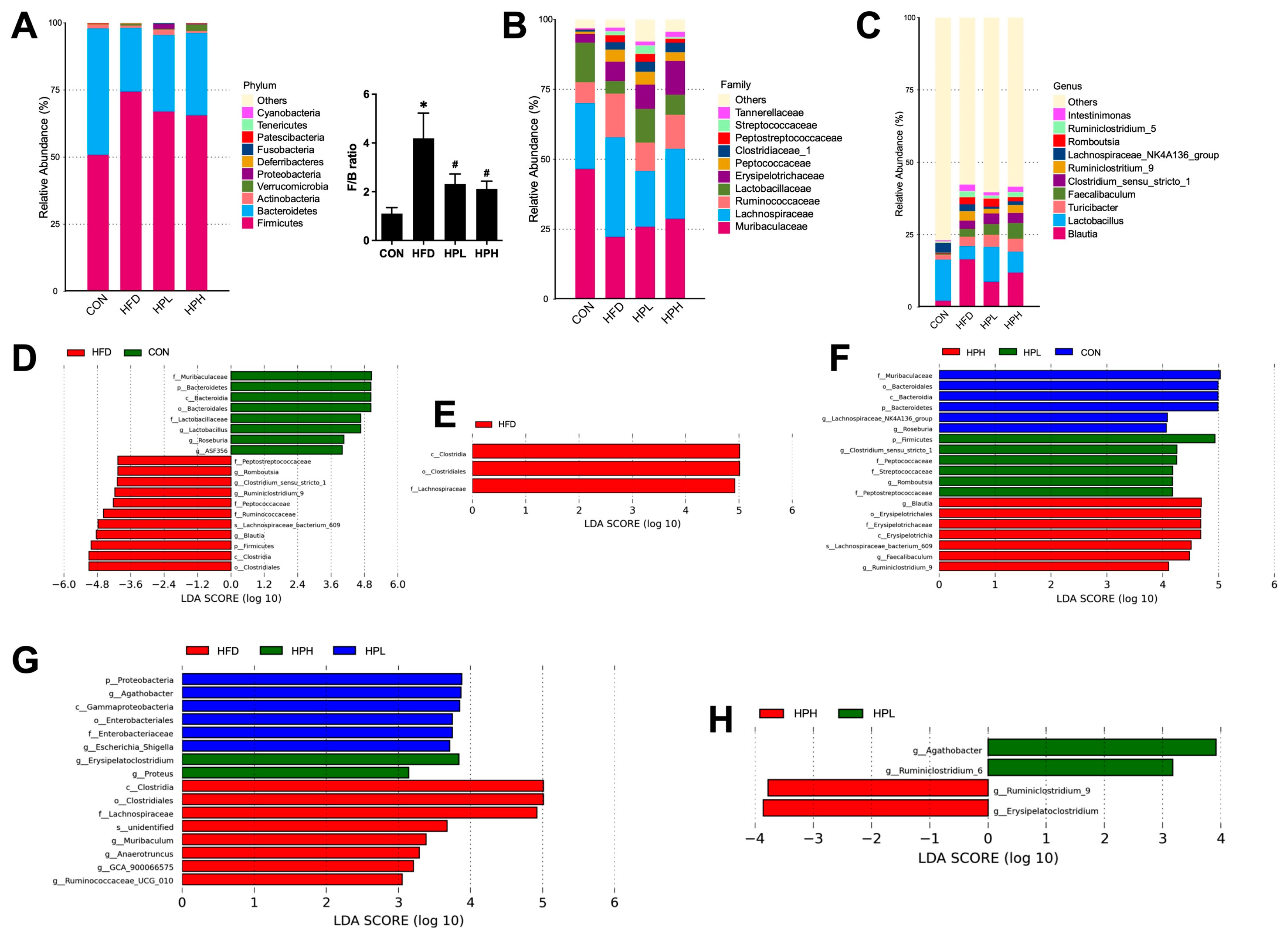 Antioxidants 13 01498 g007