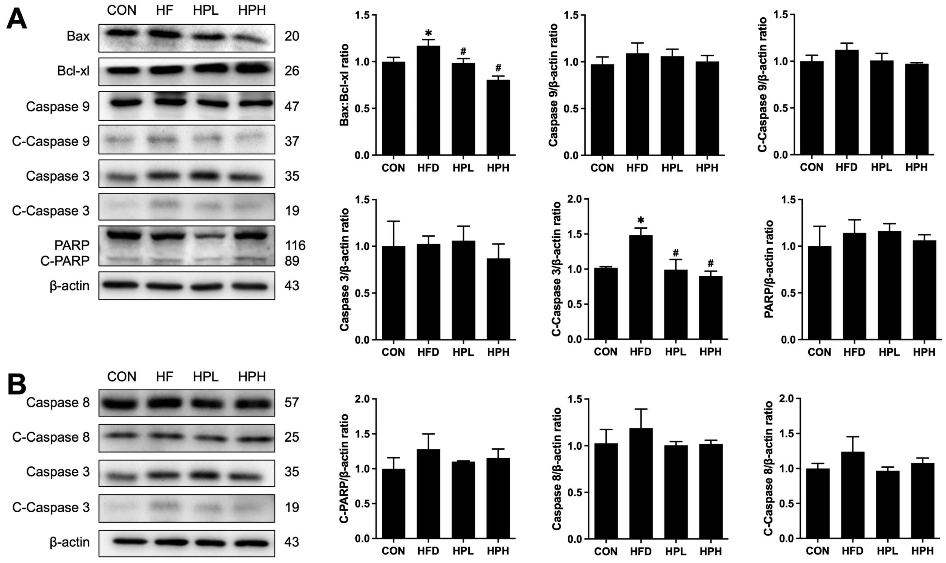 Antioxidants 13 01498 g011