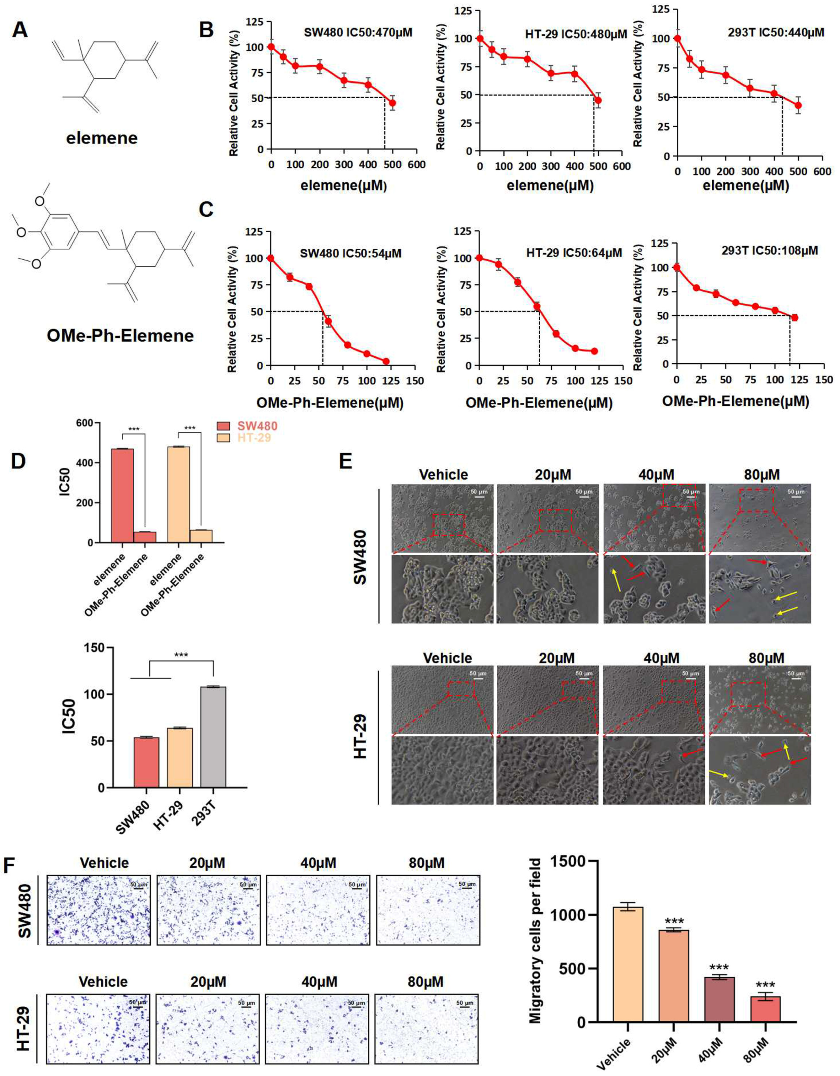 Antioxidants 13 01499 g001
