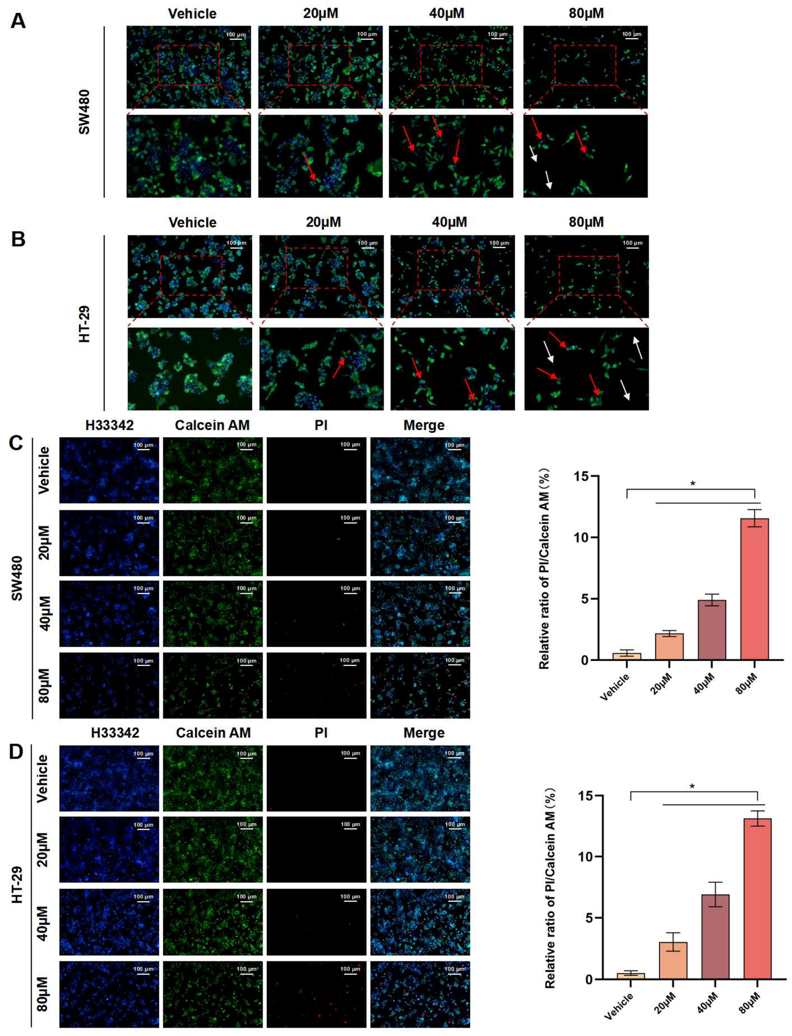 Antioxidants 13 01499 g003