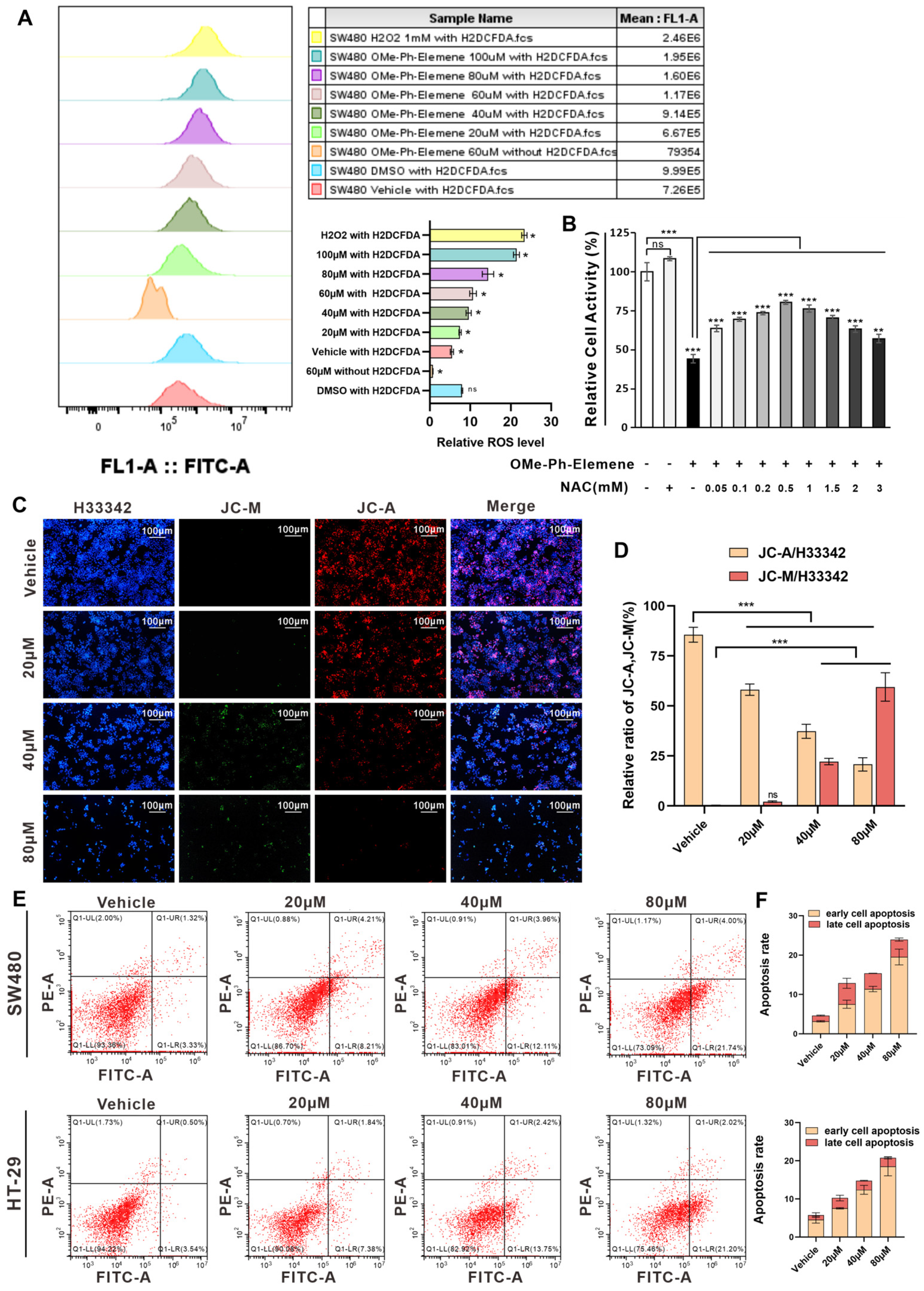 Antioxidants 13 01499 g004