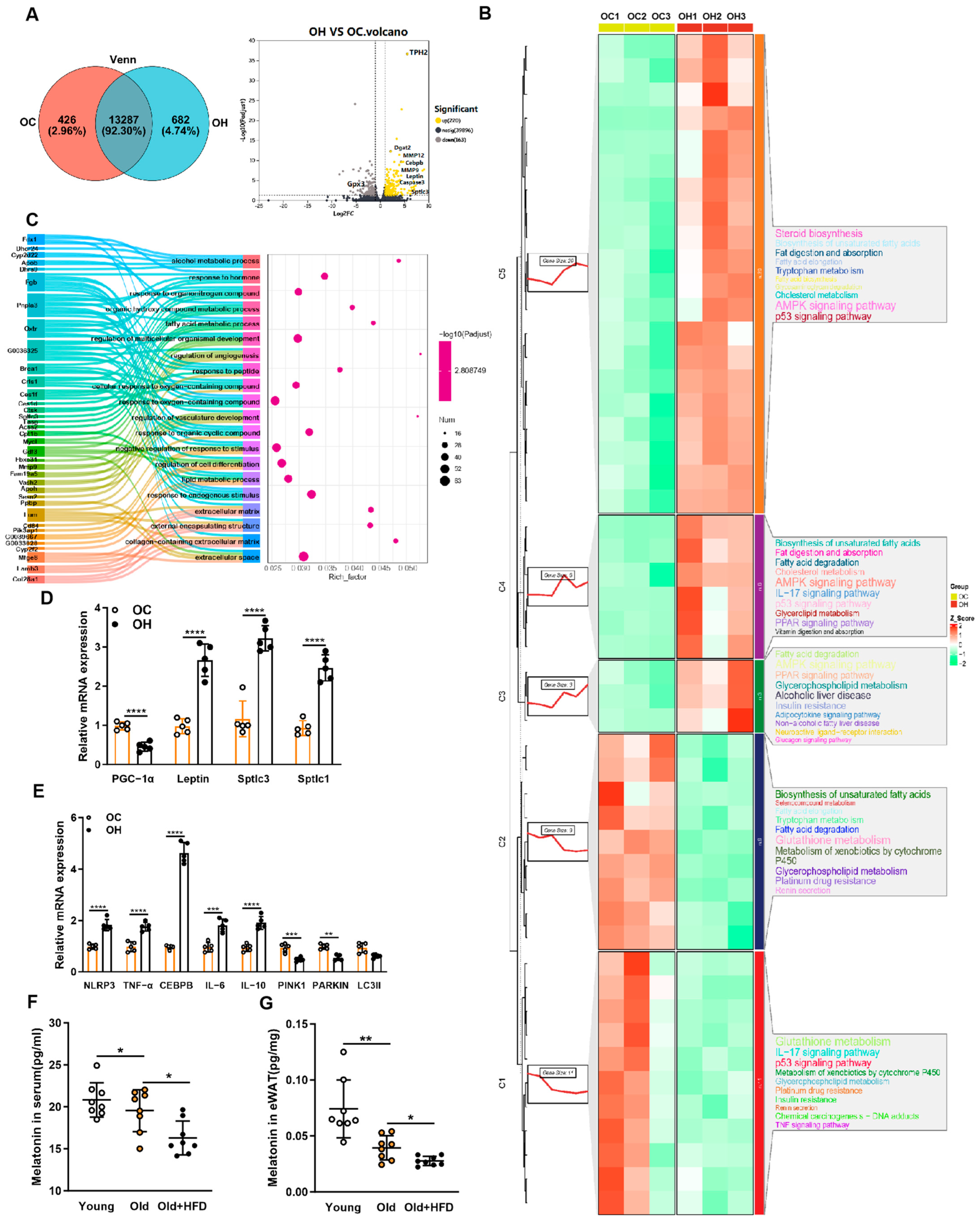 Antioxidants 13 01500 g003