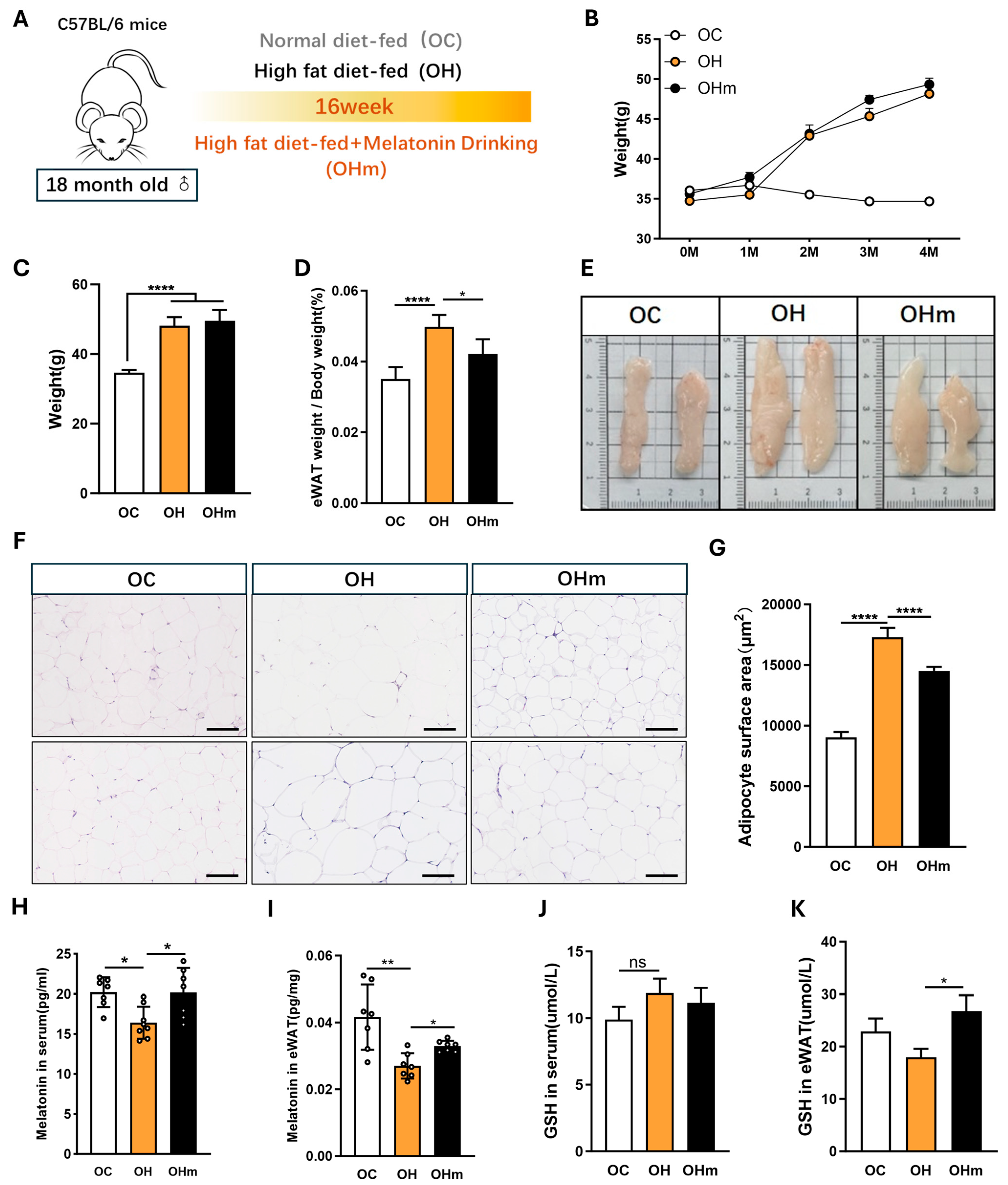 Antioxidants 13 01500 g005