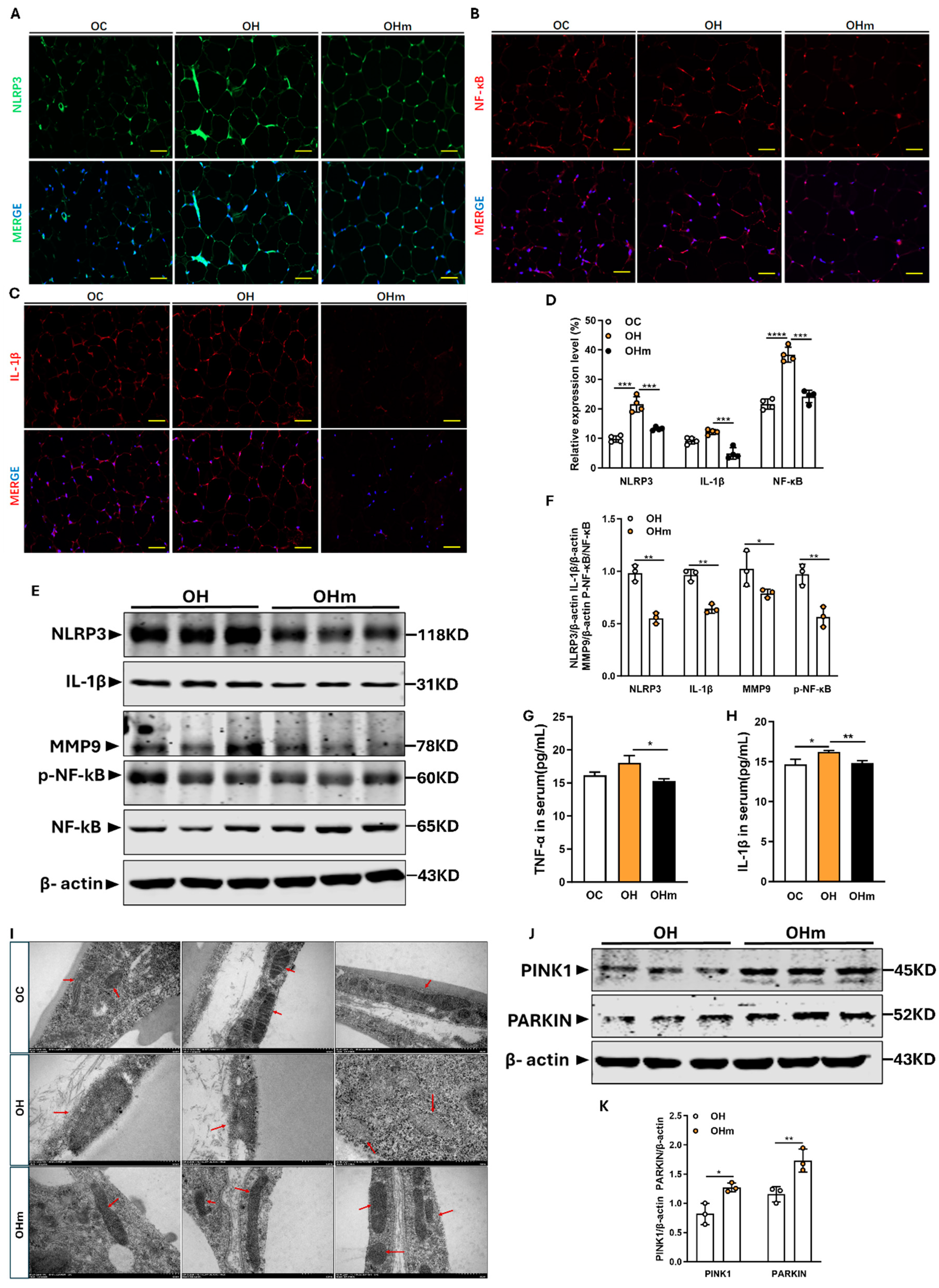 Antioxidants 13 01500 g007